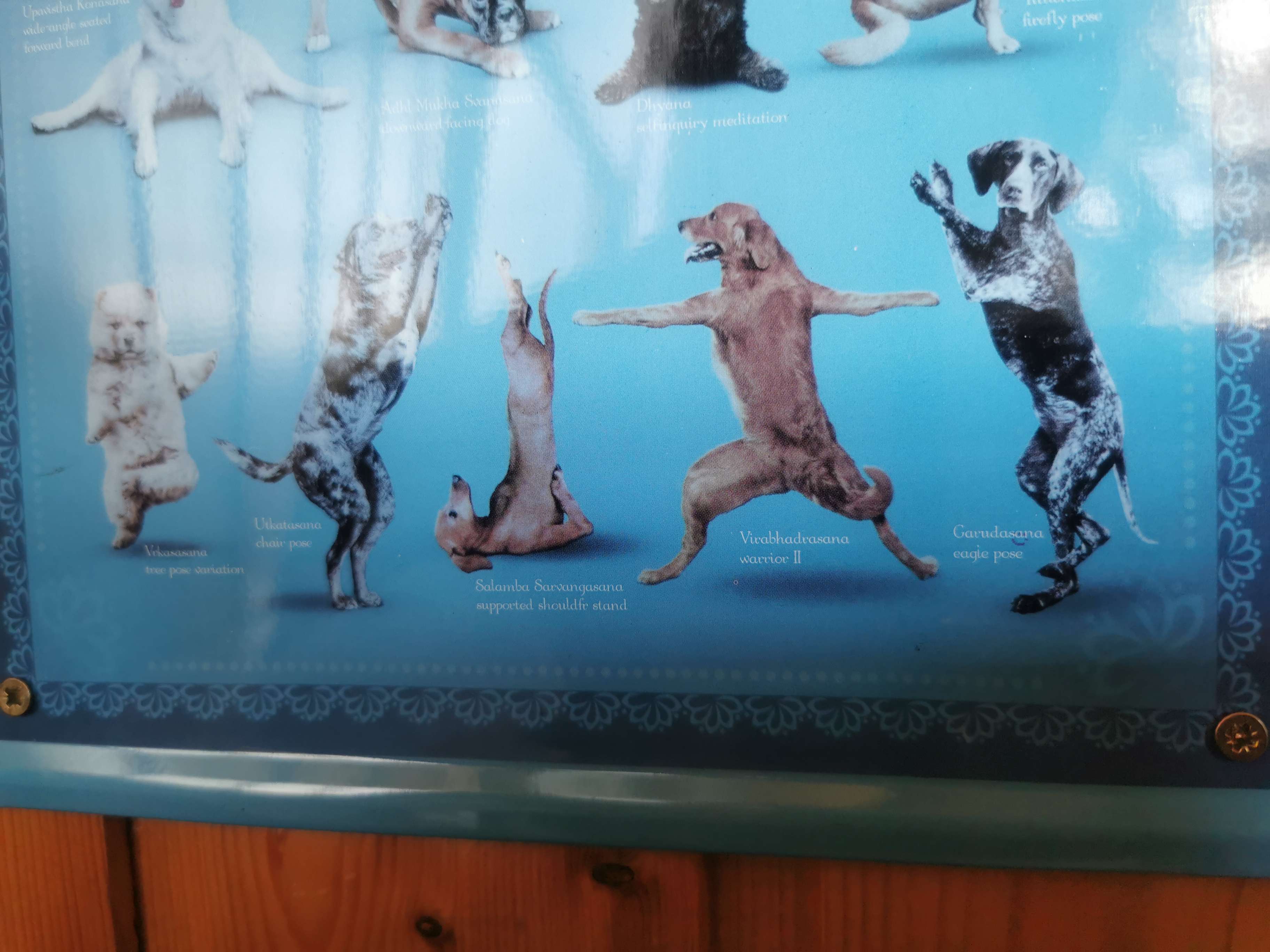 Ansicht 3 von Dagmar Kriegler Tierärztin