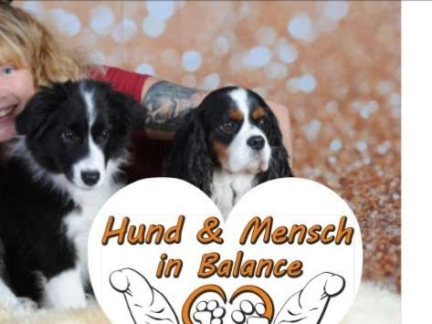 Ansicht 1 von Hundephysiotherapie