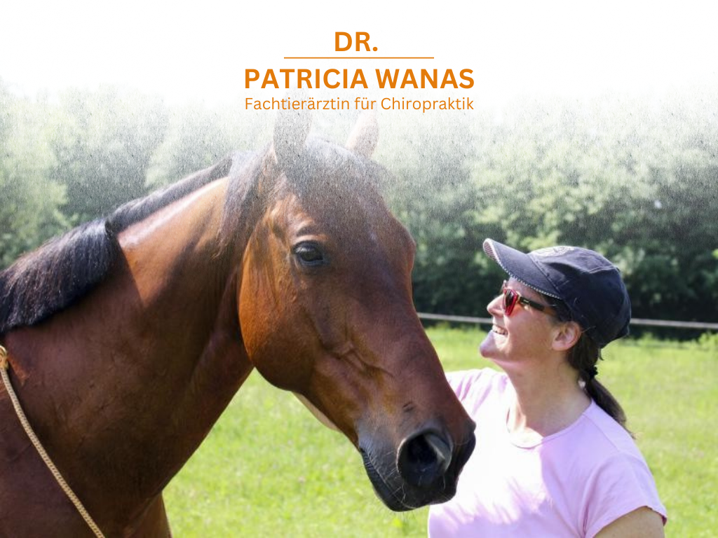 Ansicht 1 von Dr. Patricia Wanas - Fachtierärztin für Chiropraktik