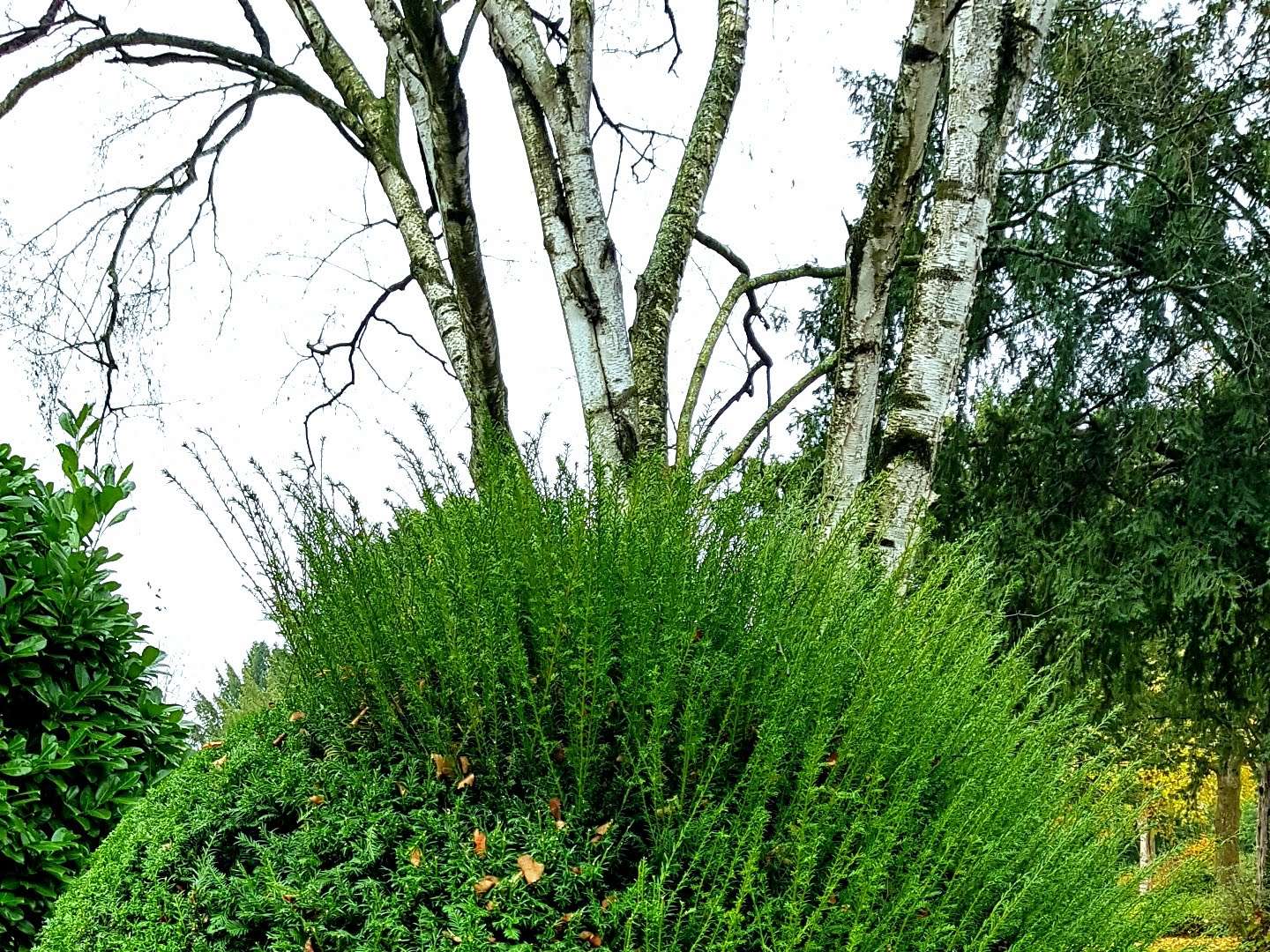 Ansicht 1 von Tierarztpraxis Roßkothen-Nebel