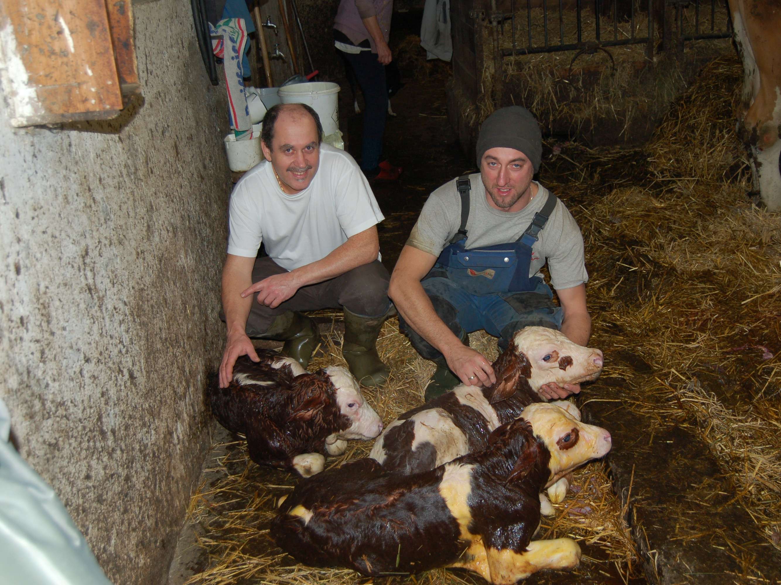 Ansicht 2 von Waldviertler Hochlandtierärzte OG