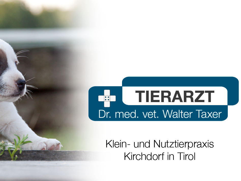 Ansicht 1 von Dipl-TA Dr Walter Taxer