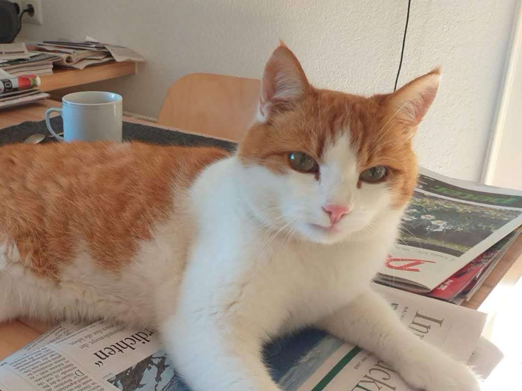 Ansicht 3 von Tierklinik Imst