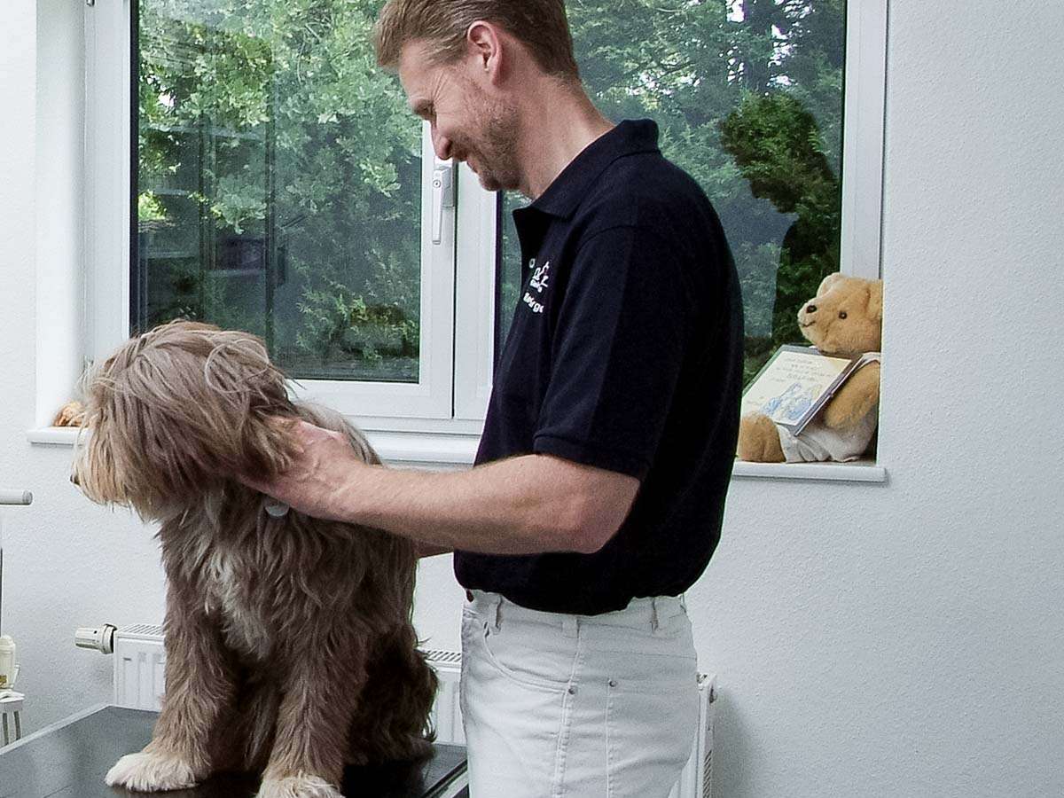 Ansicht 2 von Kleintierpraxis Dr. med. vet. Norbert Regensburger