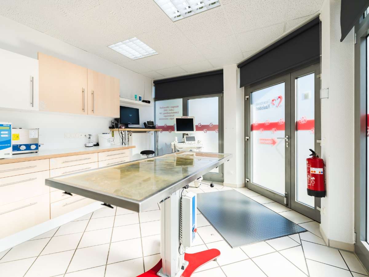 Ansicht 4 von Tierarzt Berlin Kaulsdorf, Tierarztpraxis Kaulsdorf
