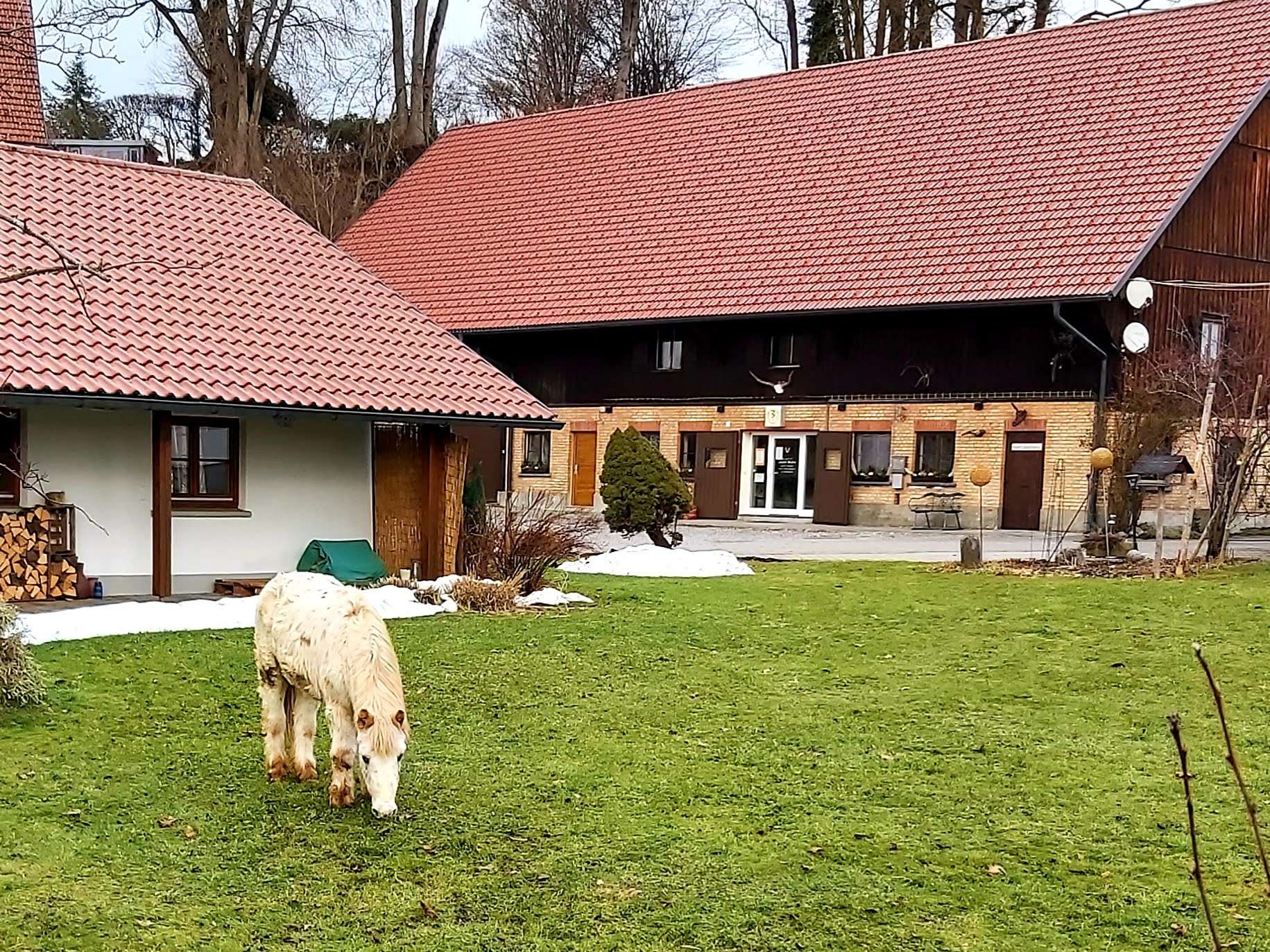 View 3 of Dr. med. vet. Josef Mohn