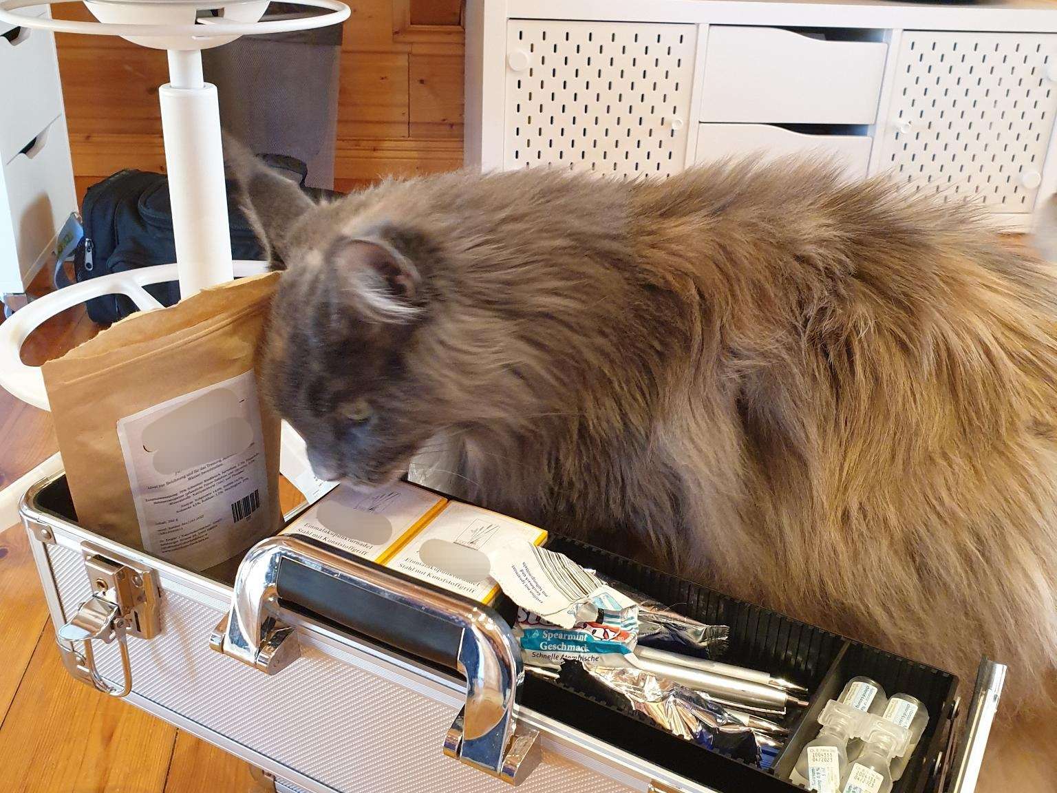 Ansicht 2 von Mobile Tierarztpraxis Nina Kneifel - Akupunktur, TCM, Lasertherapie, Naturheilkunde