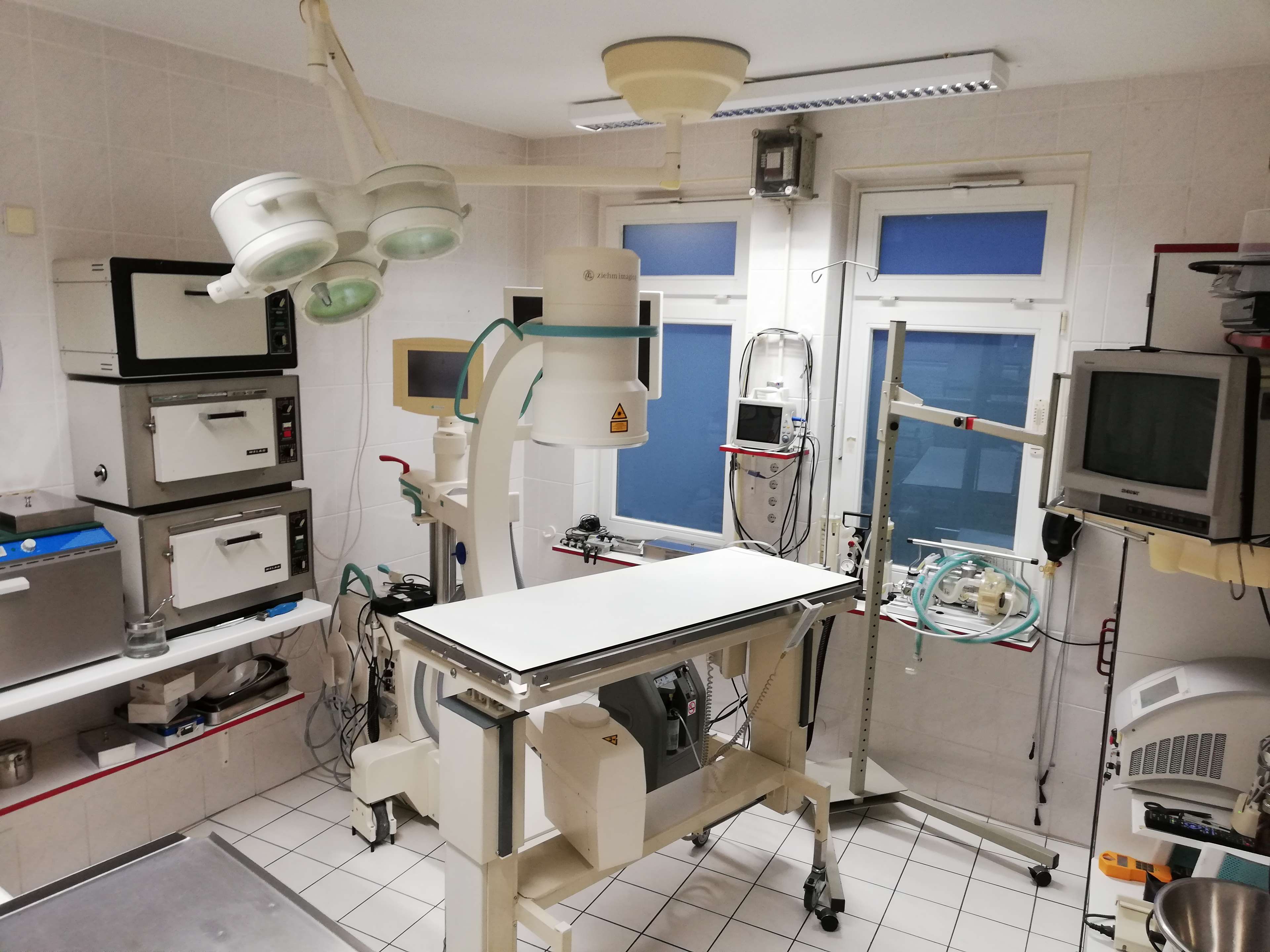 Ansicht 2 von Tierärztliches Institut für angewandte Kleintiermedizin