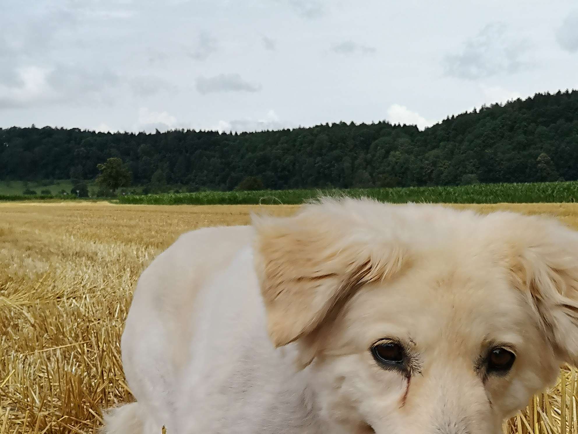 Ansicht 3 von Kleintierpraxis Unfried
