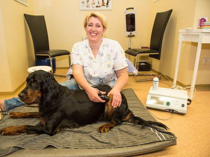 View 2 of Zentrum für Tierphysiotherapie & Rehabilitation Mag. vet. med Sandra Stastny