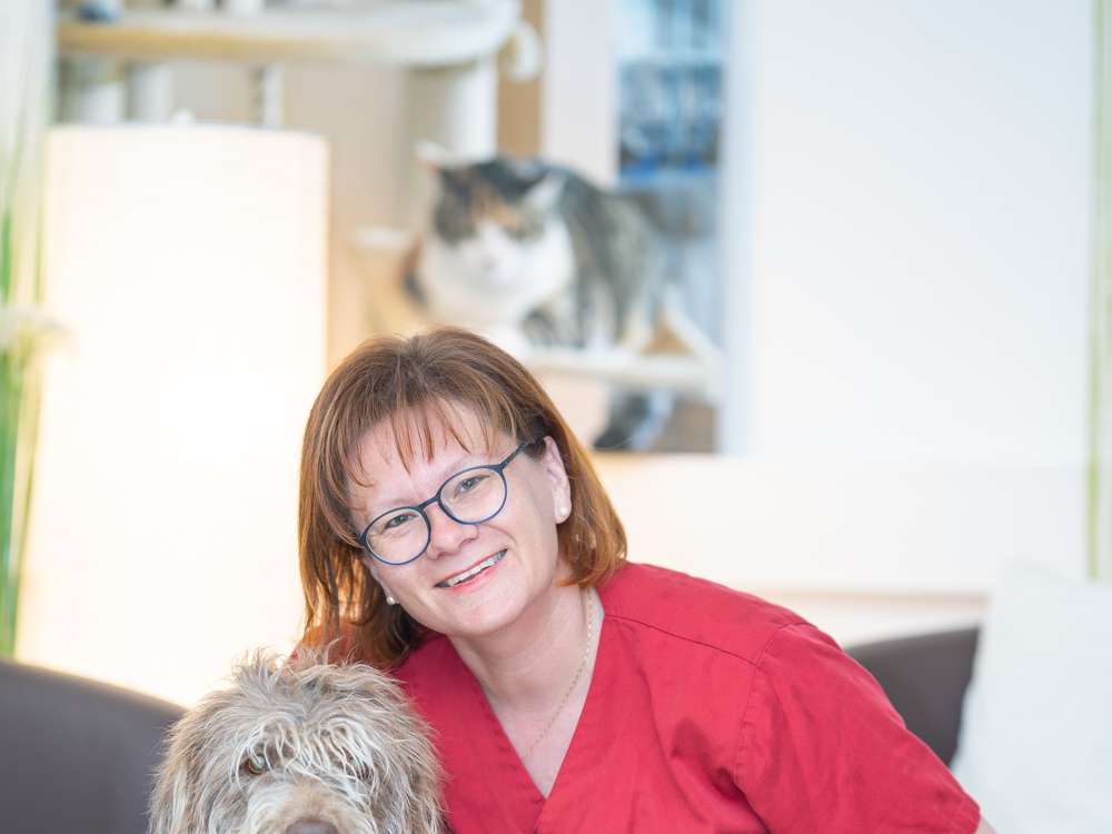 Ansicht 1 von TGZ-Tiergesundheitszentrum Ragnitz - Dr.med.vet. Birgit Dastig