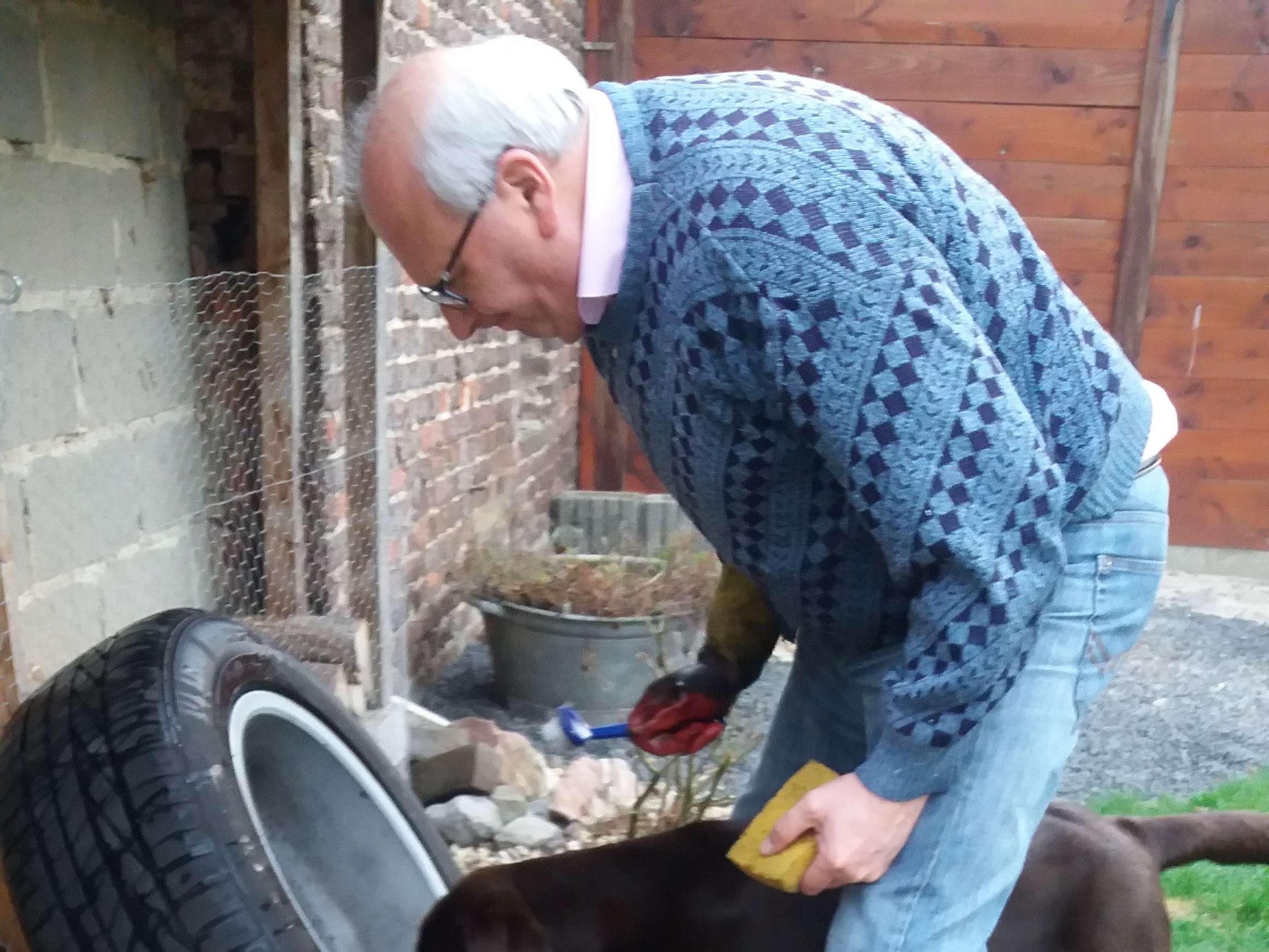 Ansicht 3 von Praxis für Hundephysiotherapie "Tierisch-munter"