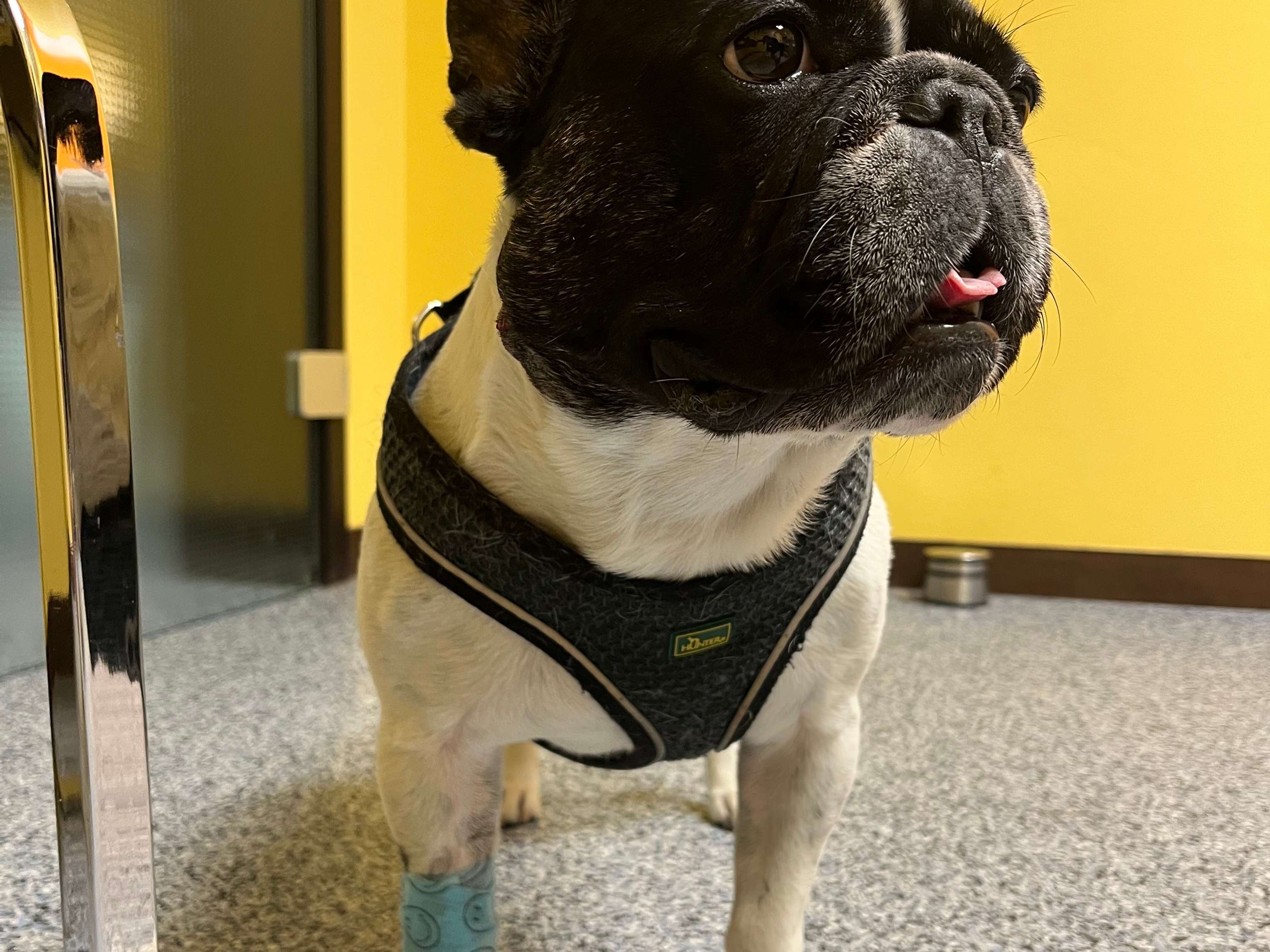 Ansicht 3 von Tierklinik Egelsbach