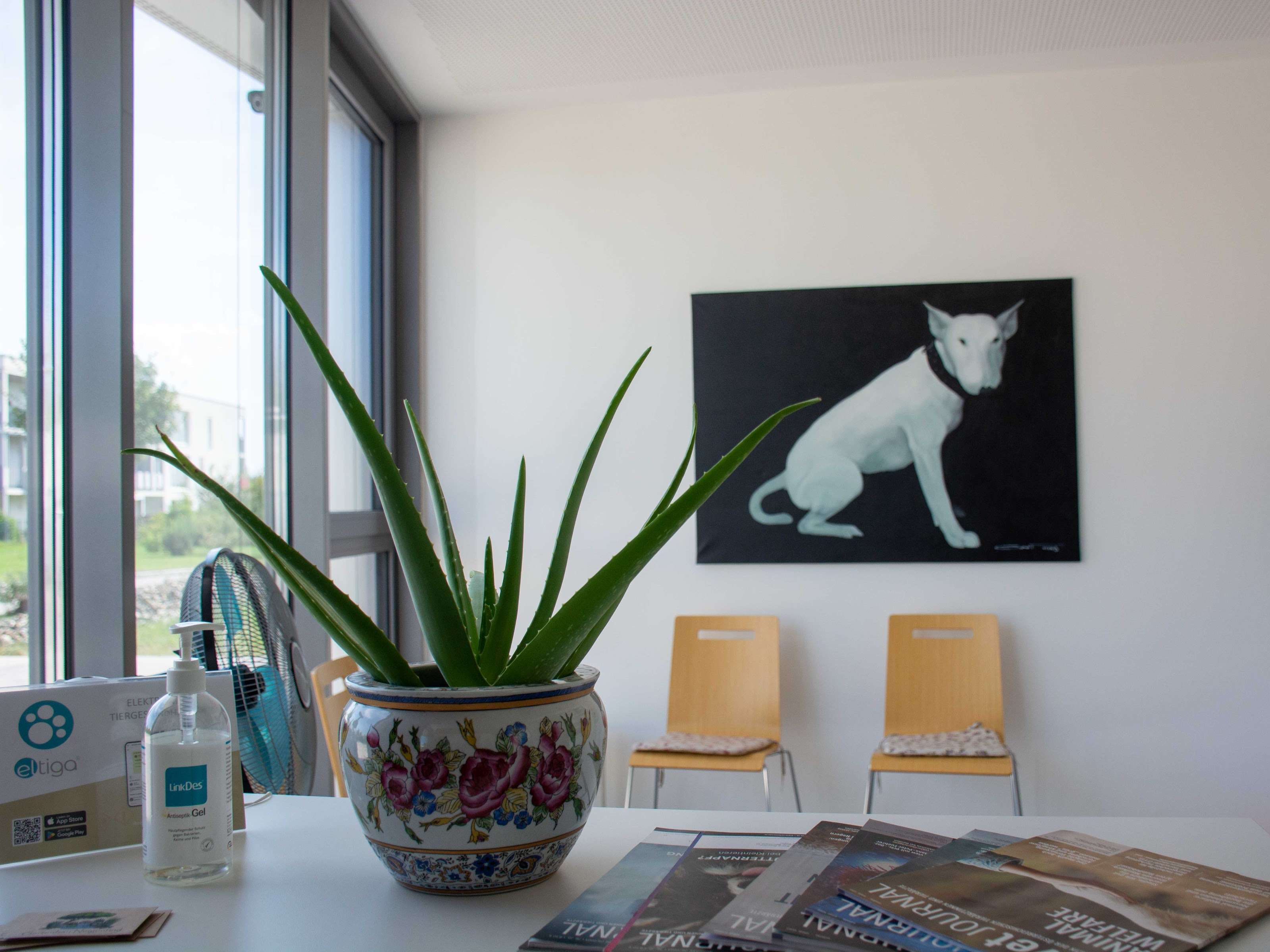 Ansicht 1 von Tierarzt DAVOR - Preradovicstraße
