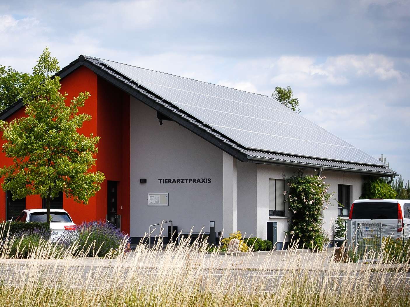 Ansicht 1 von Tierarztpraxis Dr. Leue, Sandau