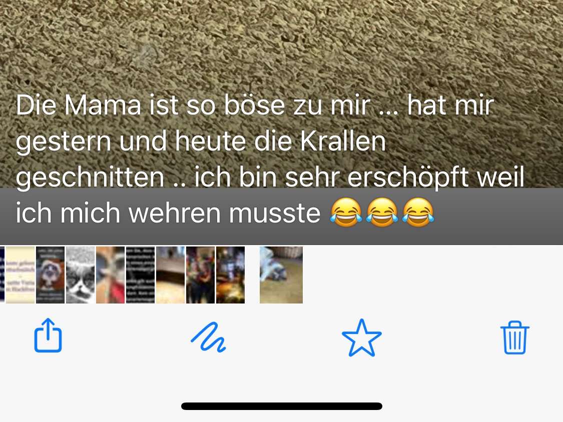 Ansicht 1 von Silke Herzberger Tierärztin
