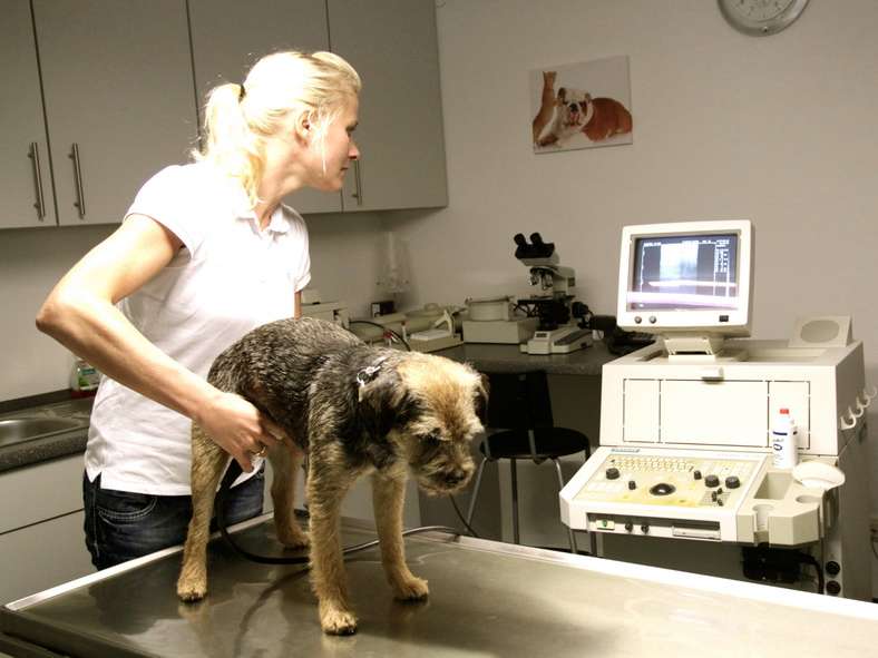 Ansicht 2 von Dr.Ulrike Baackmann und Dr.Claudia Westrup -Kleintierpraxis-