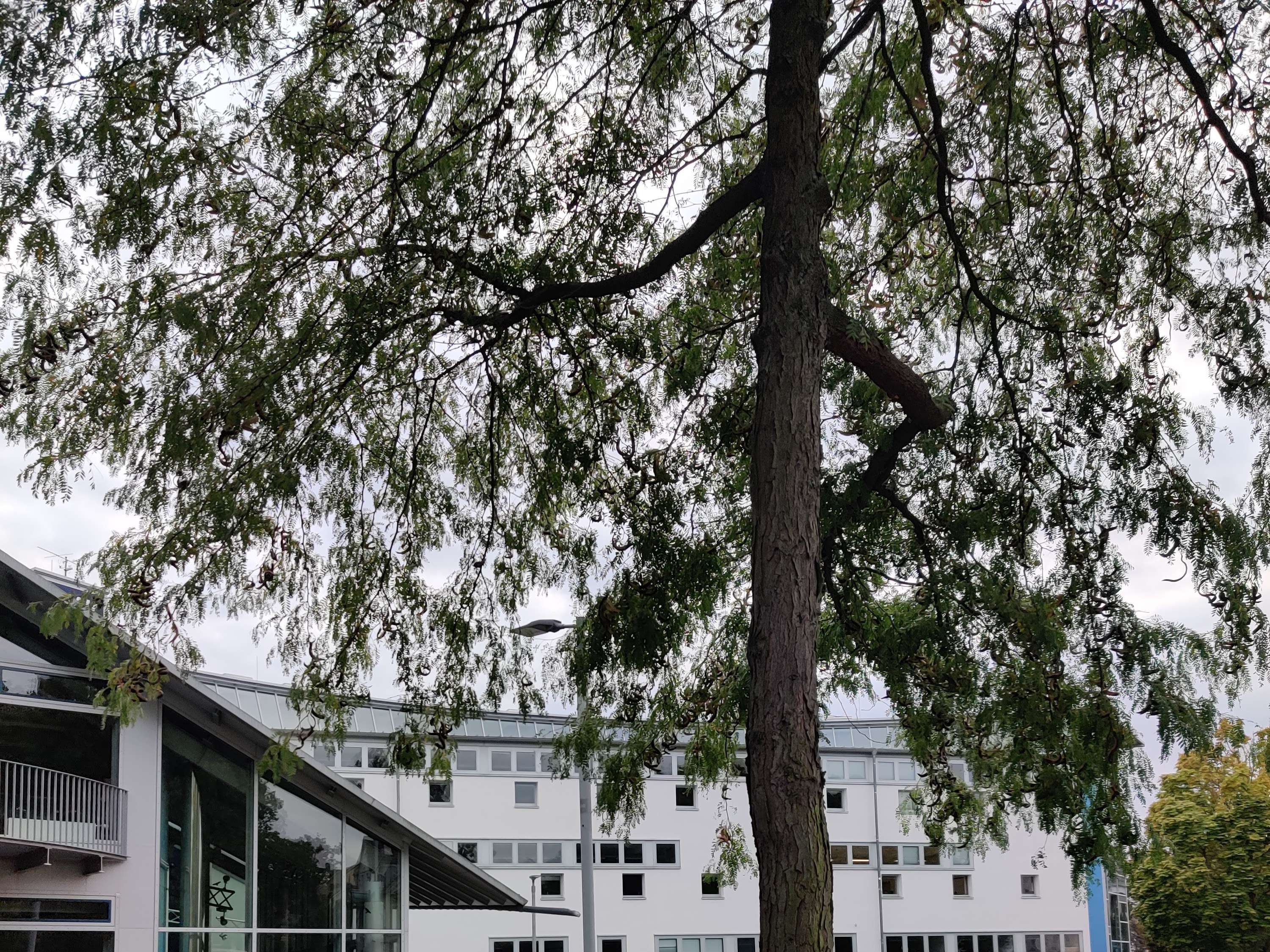 Ansicht 2 von Kleintierpraxis Dr. S. Mateika