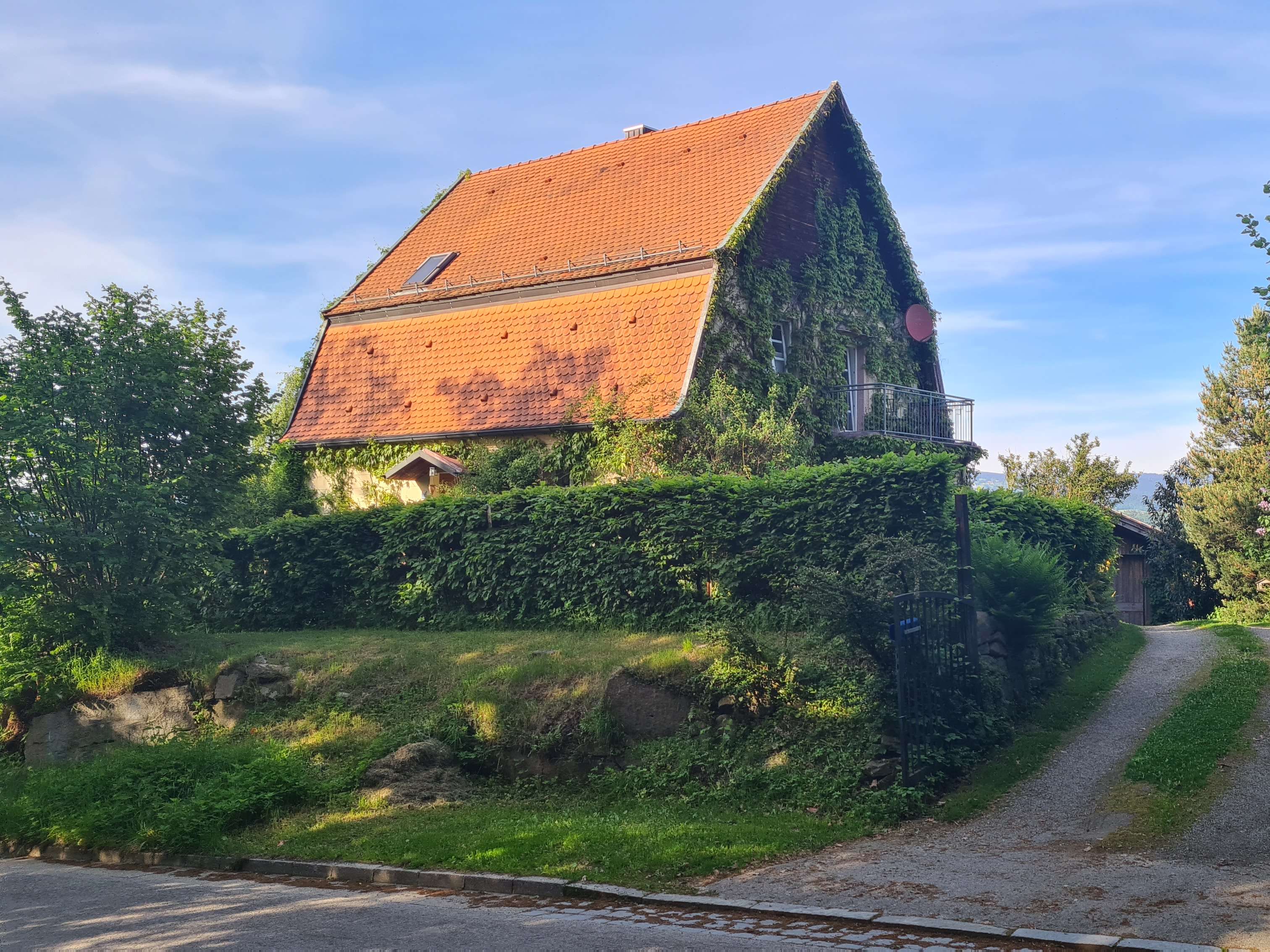 Ansicht 1 von Dr.med.vet. Martin Pauli