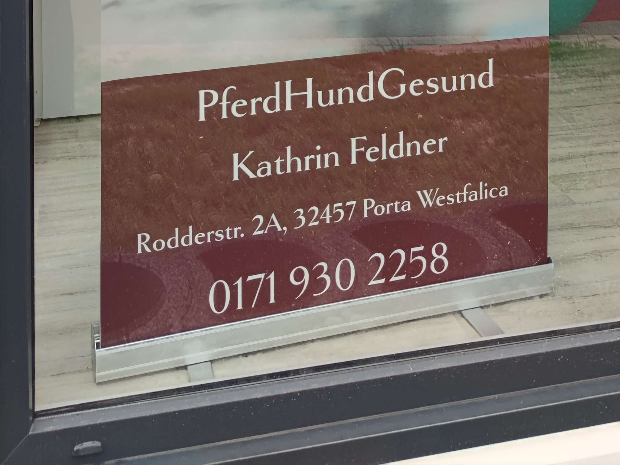 Ansicht 3 von Pferdhundgesund