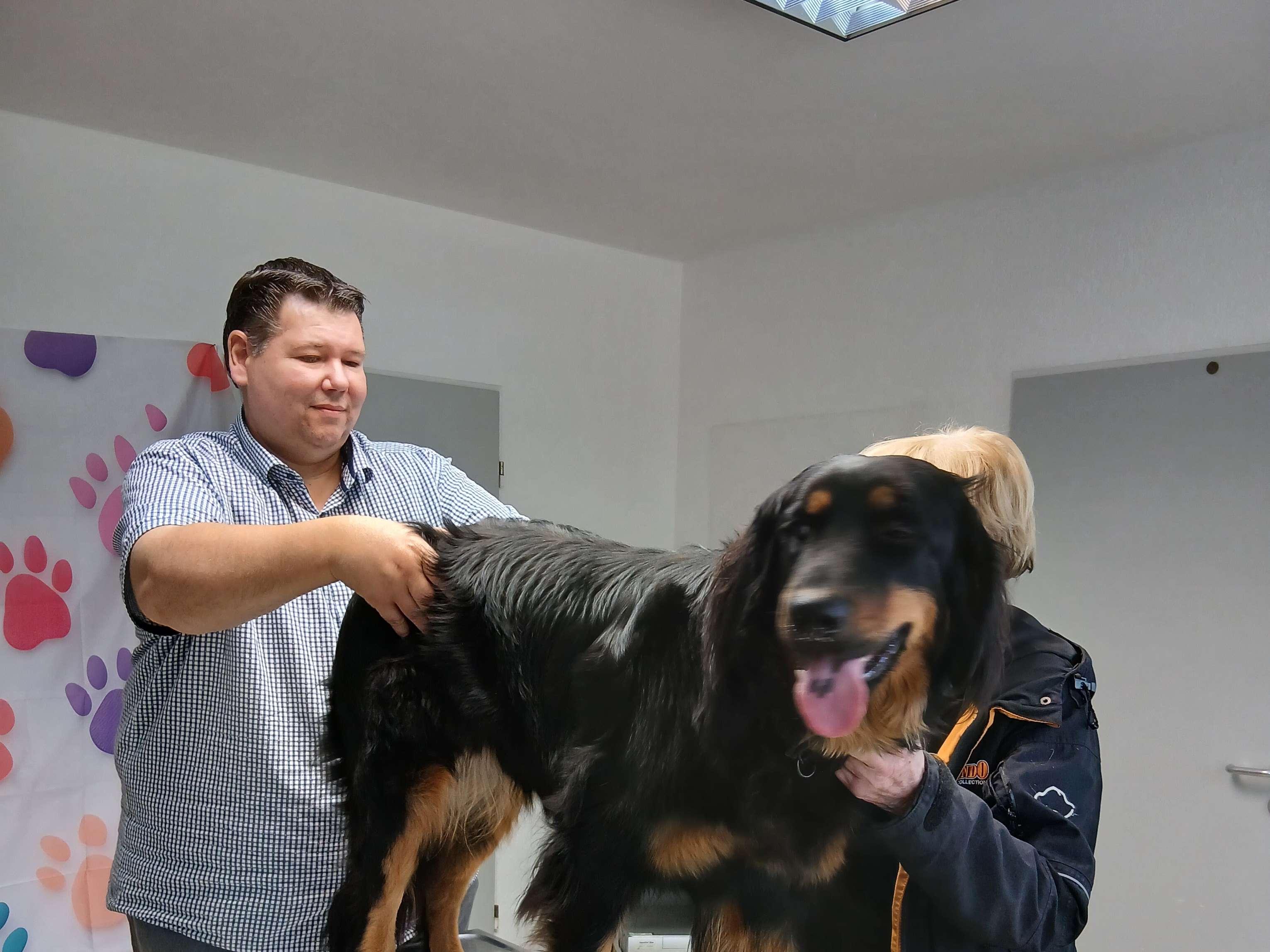 Ansicht 2 von Tierärztliche Praxis Dr. Claudia Platvoet