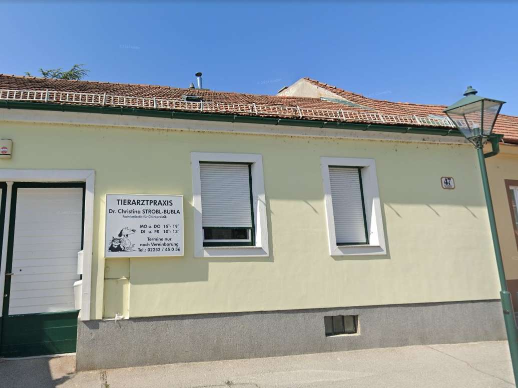 Ansicht 1 von Tierarzt Dr. Strobl-Bubla
