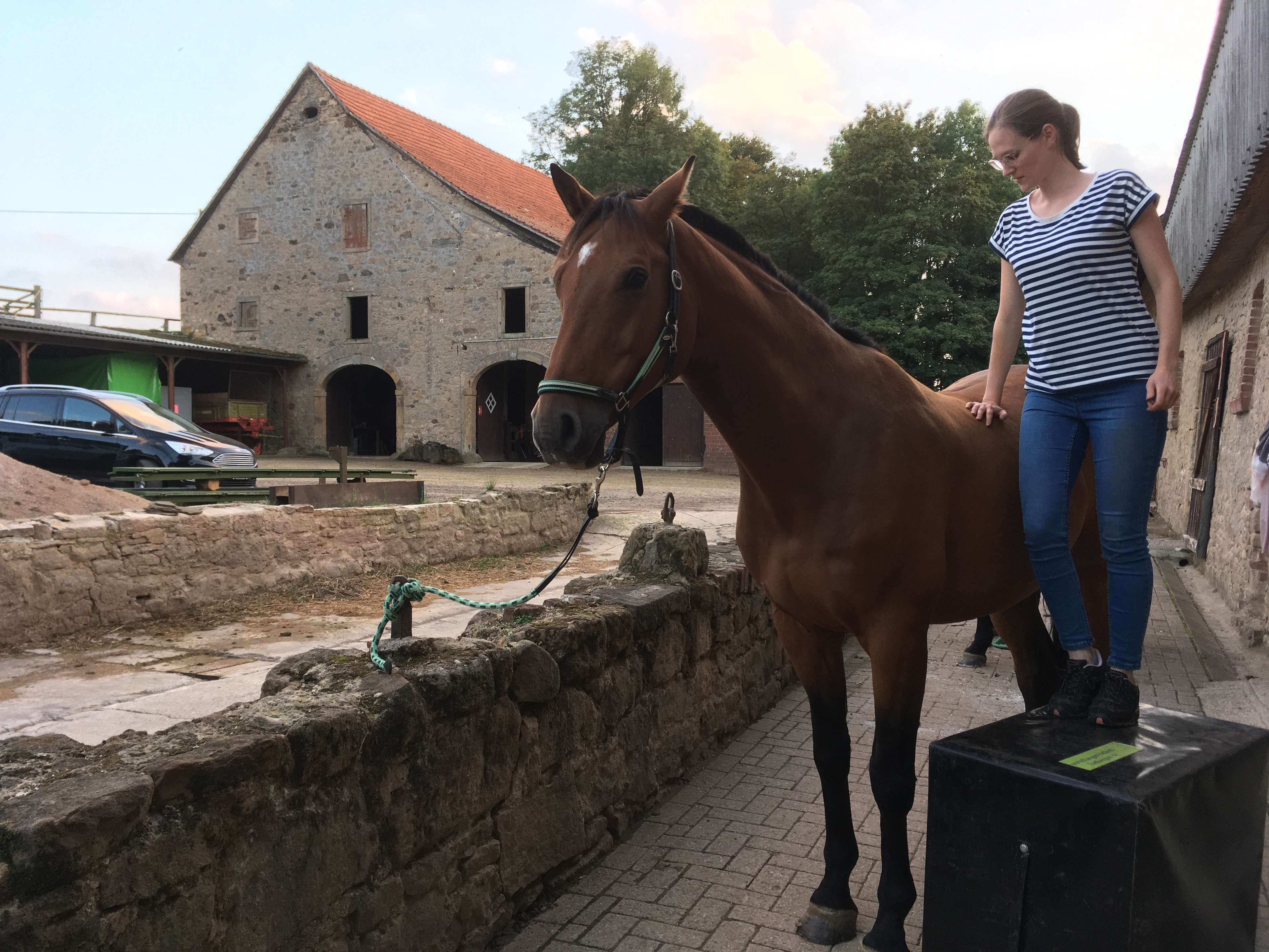 Ansicht 2 von TIERGESUNDHEIT LADBERGEN