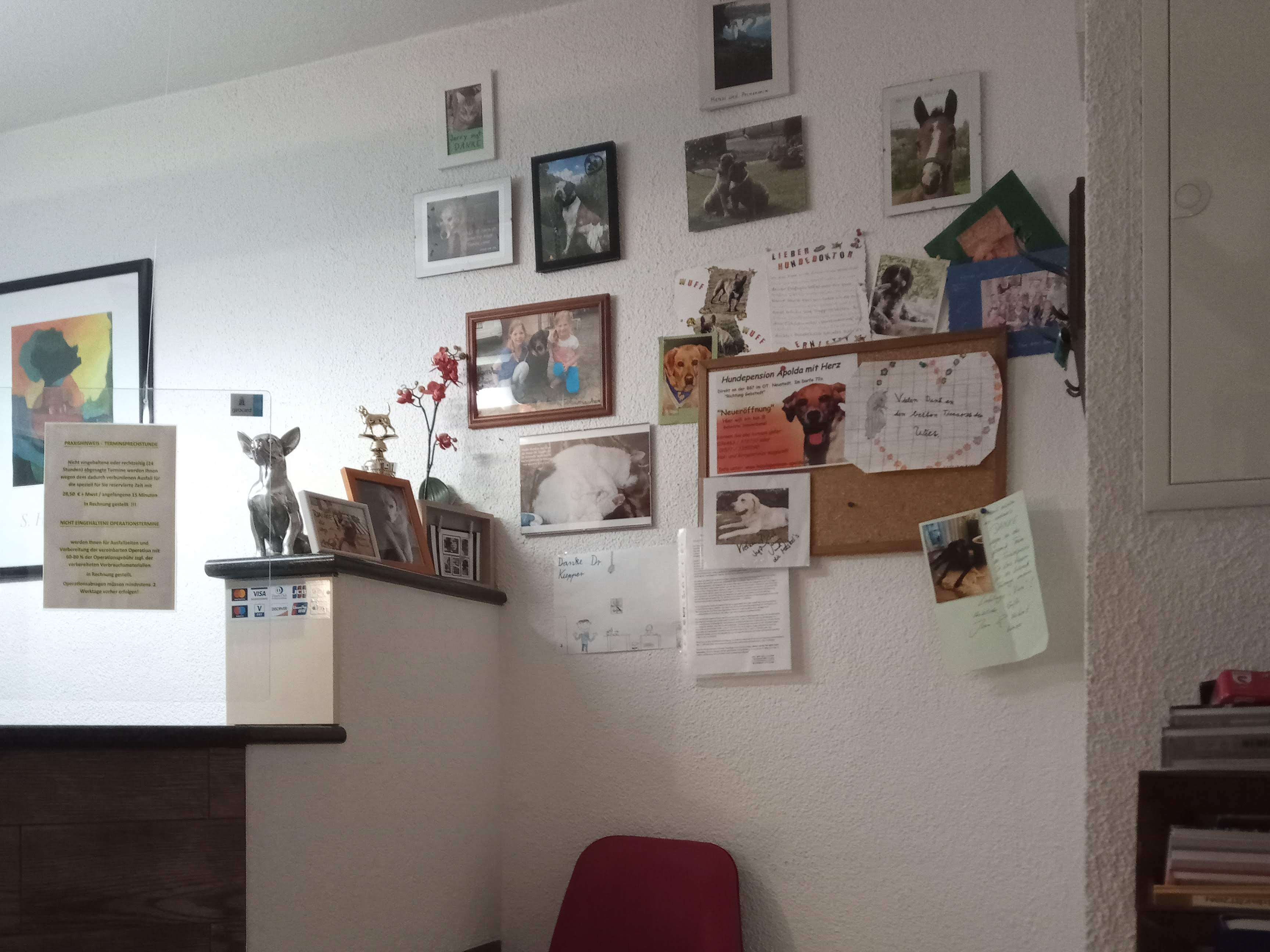 Ansicht 3 von Tierarztpraxis L. Kupper