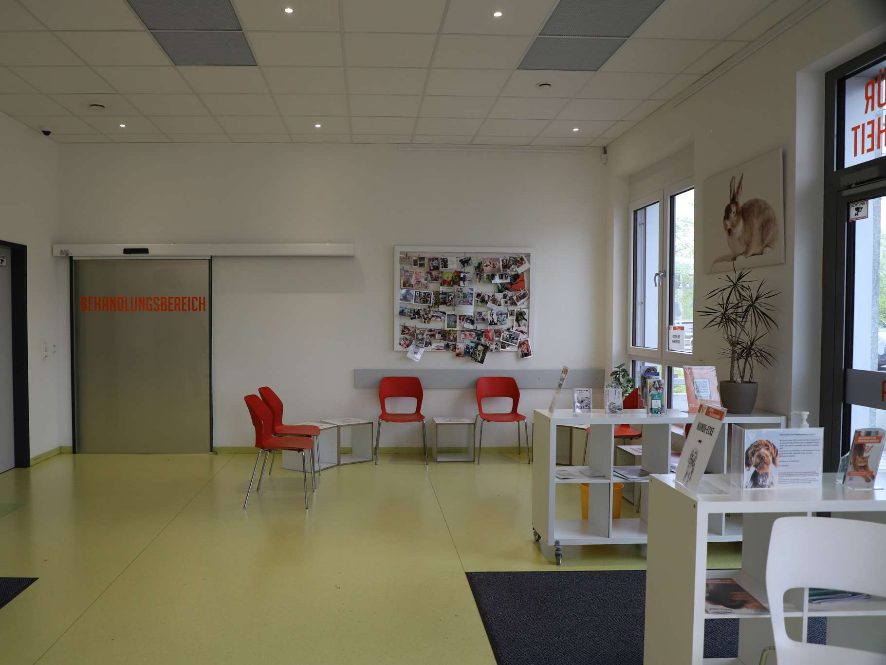 View 1 of Zentrum für Tiergesundheit, Tierarztpraxis