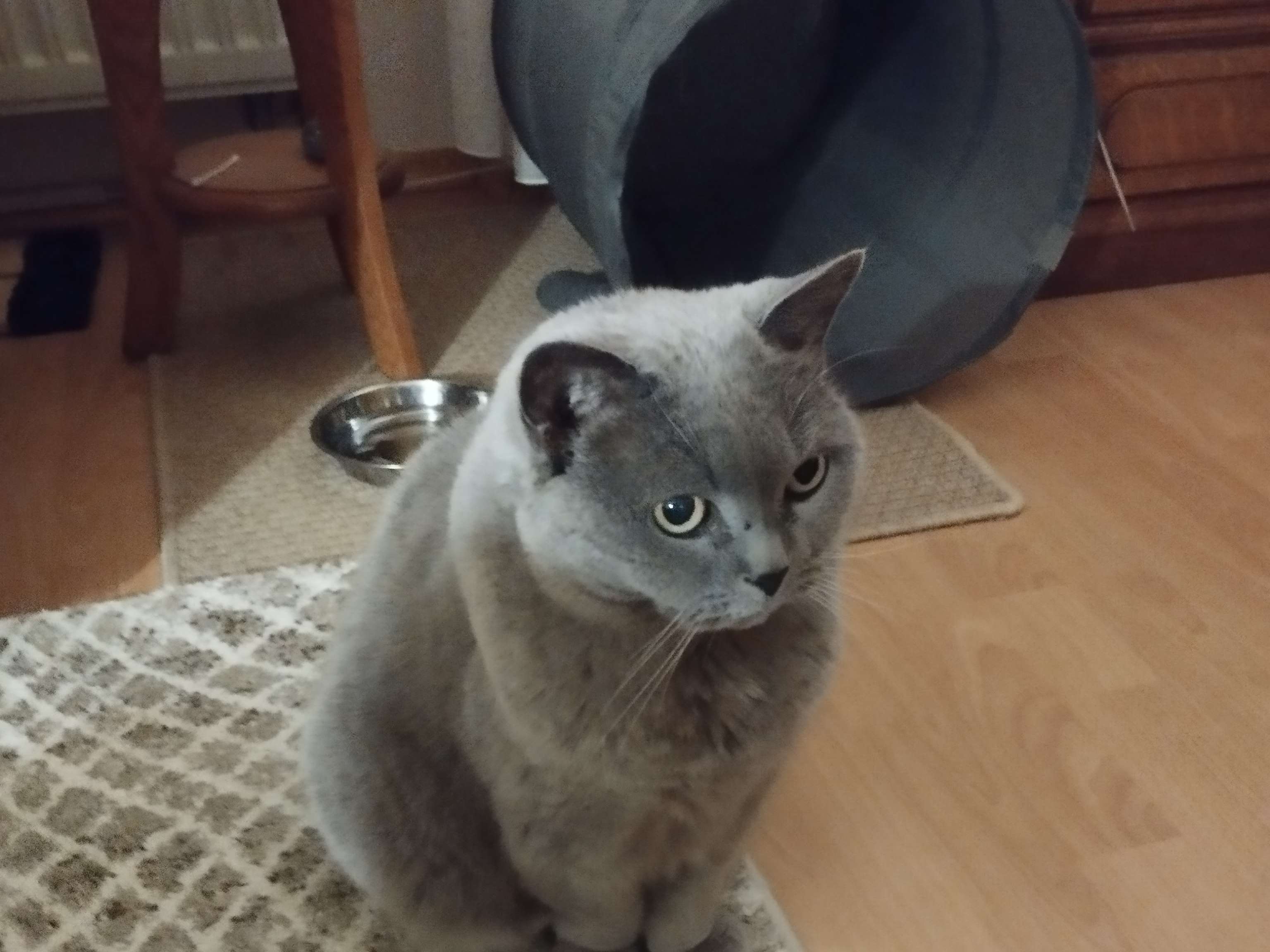 View 3 of Dr. med. vet. Hubertus Kutschke