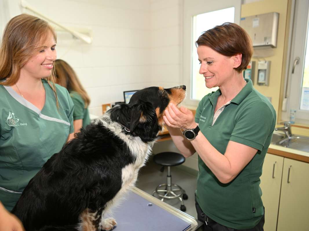 Ansicht 2 von Zentrum für Tiergesundheit Linkenheim-Hochstetten, Tierärztin Manuela Bencec