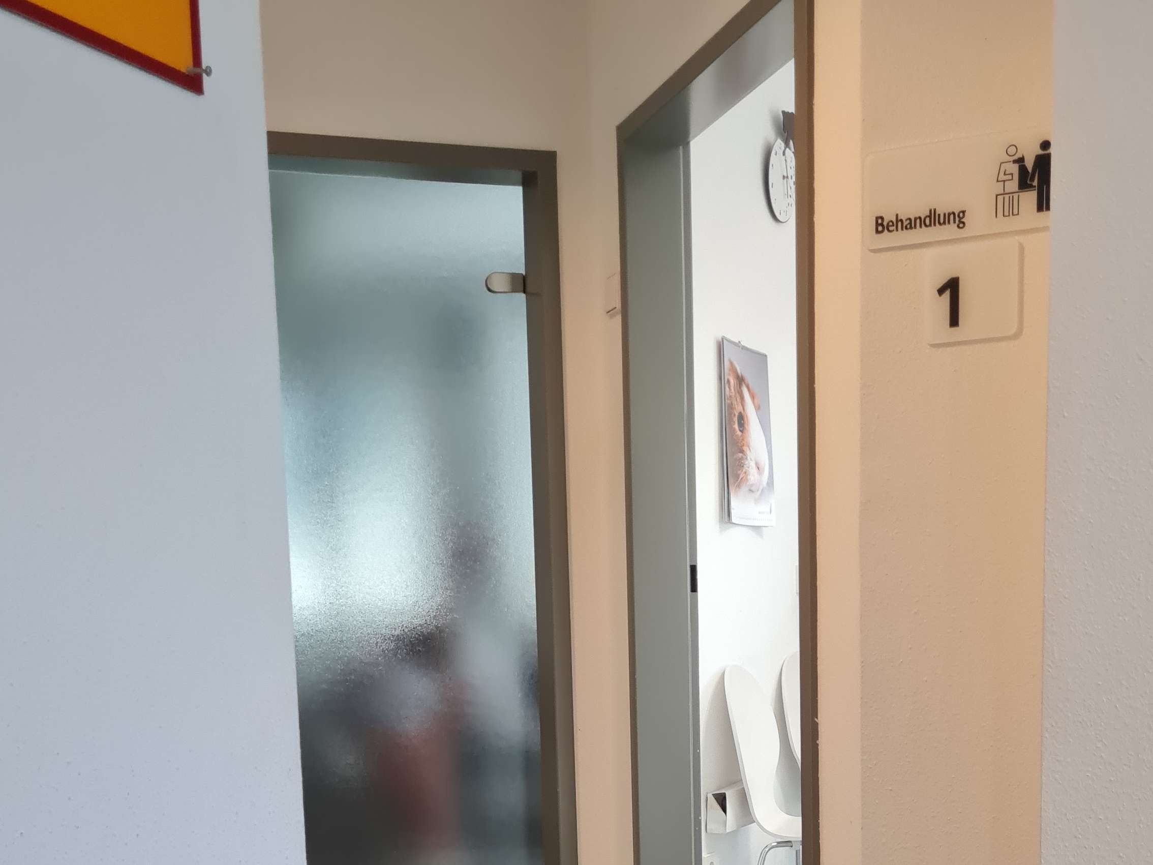 Ansicht 2 von Dr. Backofen und Gimmler