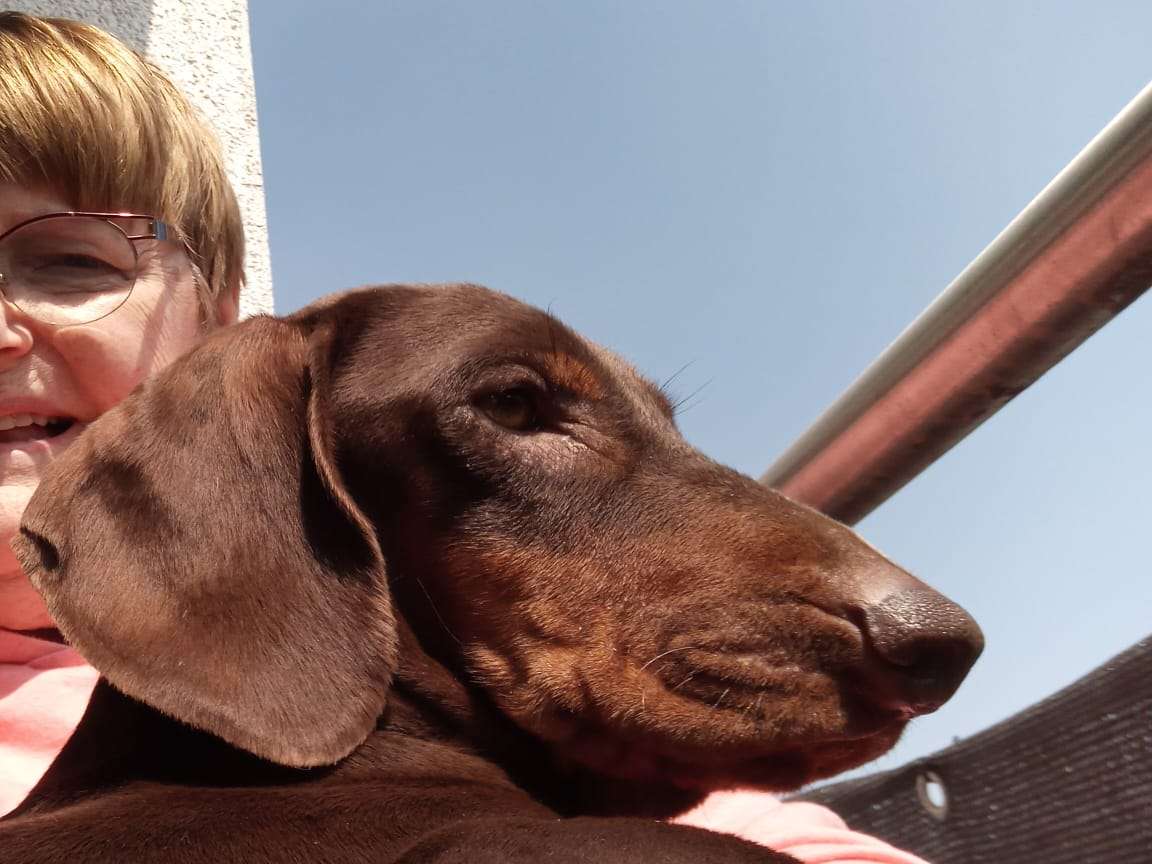 Ansicht 3 von Hund Katze Haut - Königswinter