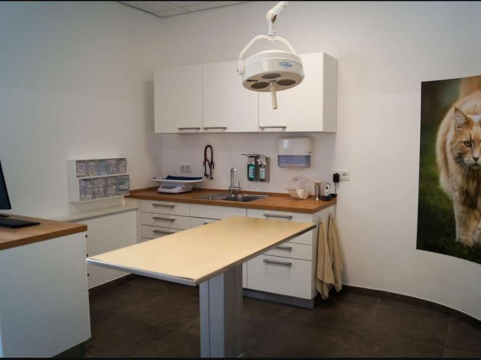 Ansicht 1 von Kleintierpraxis Dres. Janke & Pföhler. Zahntierärztin Dr. Pföhler. Zusatzbezeichnung Zahnheilkunde beim Kleintier