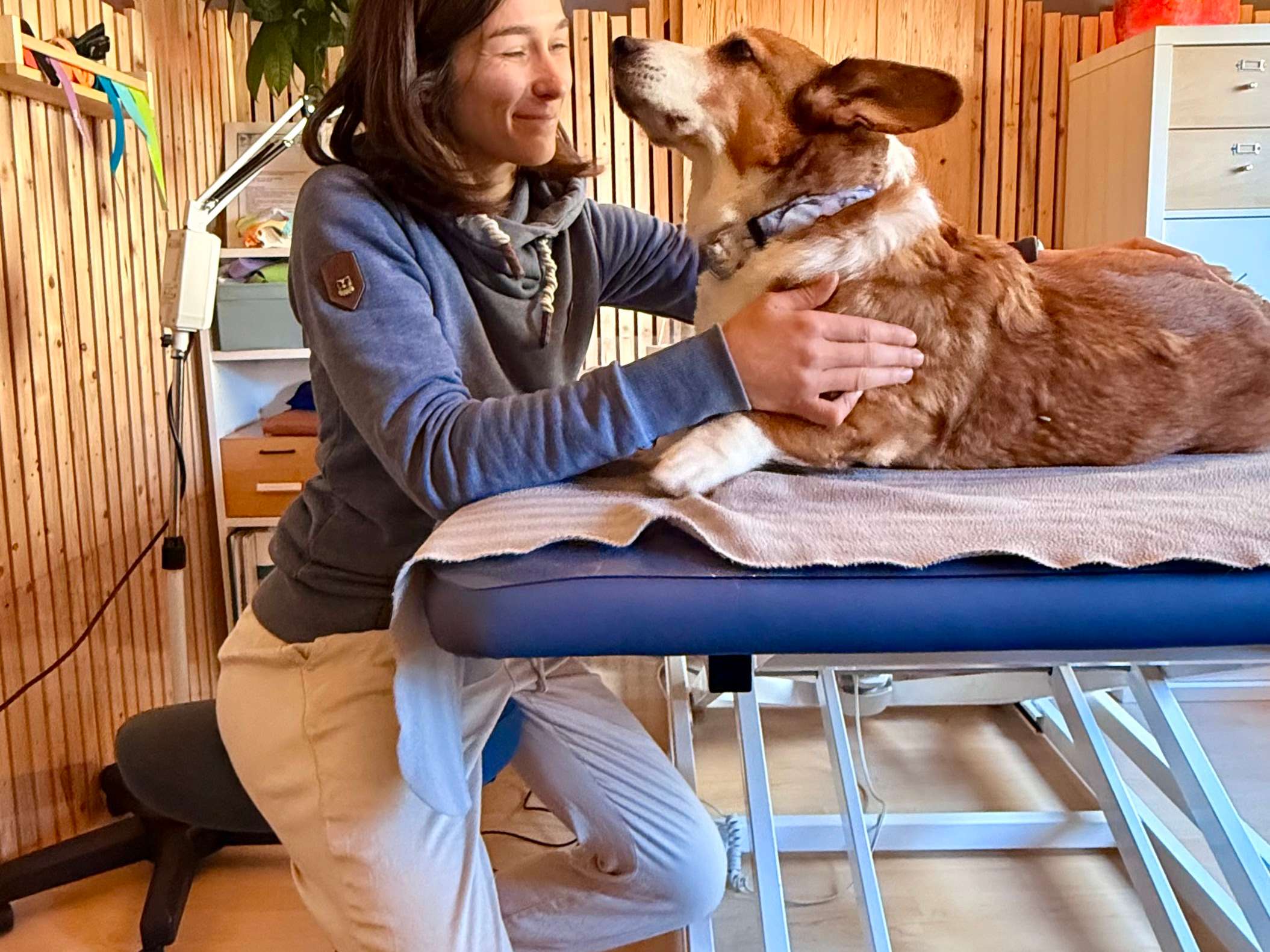Ansicht 2 von Tiertherapie Lilli Louis