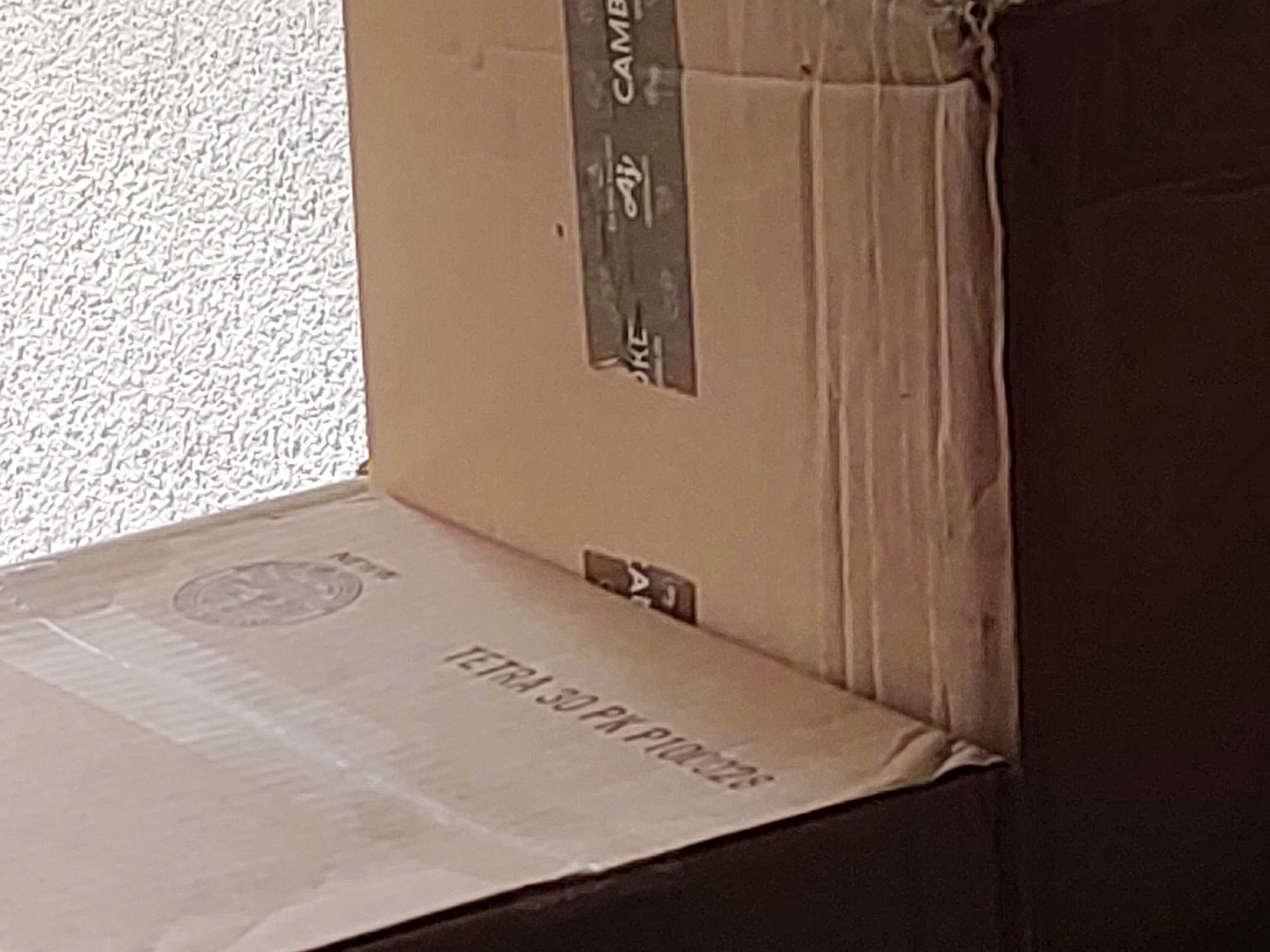 Ansicht 2 von Heike van der Kaap Tierärztin