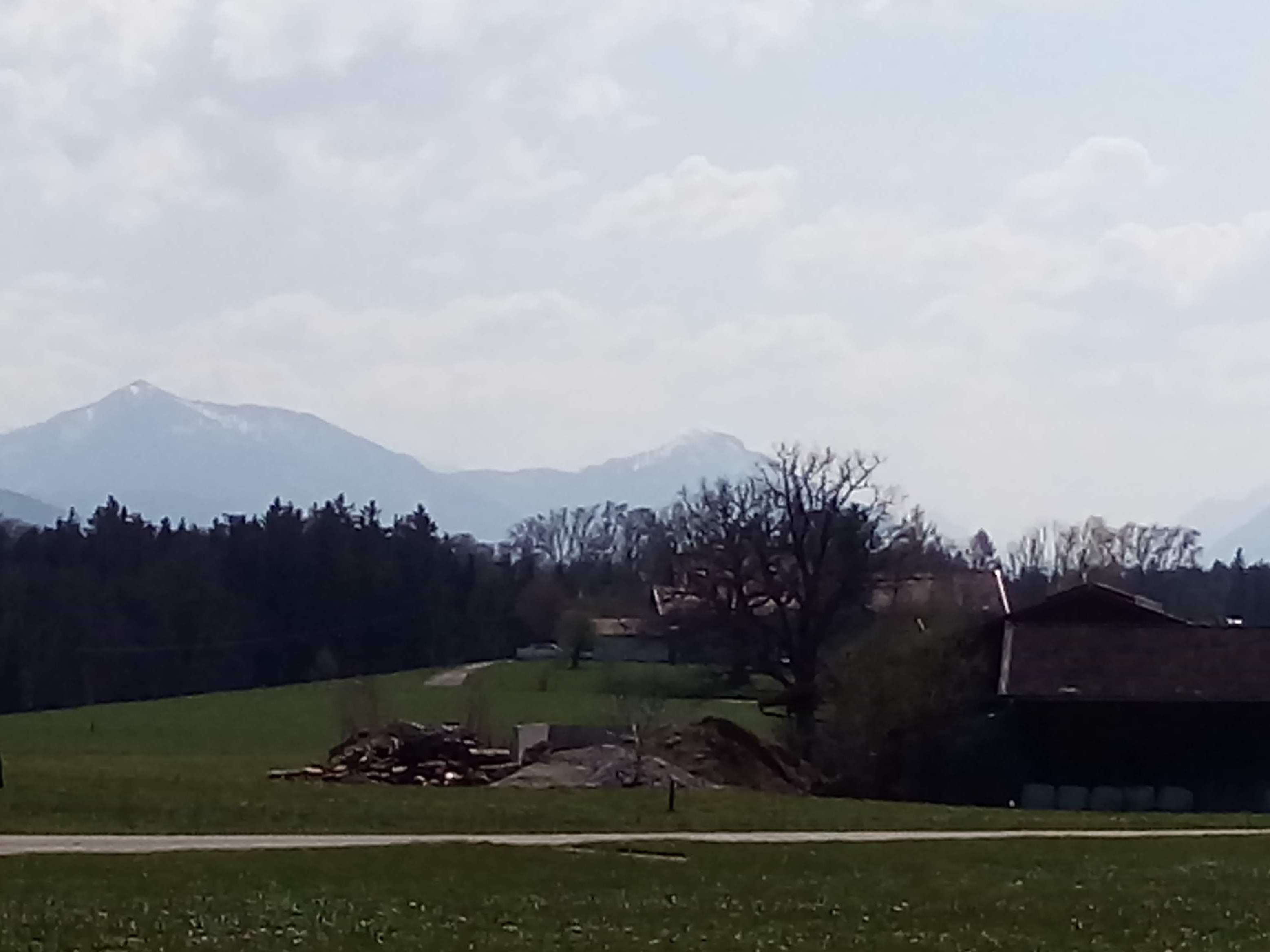 Ansicht 2 von Tierärztliche Praxis Fohlenweide GmbH
