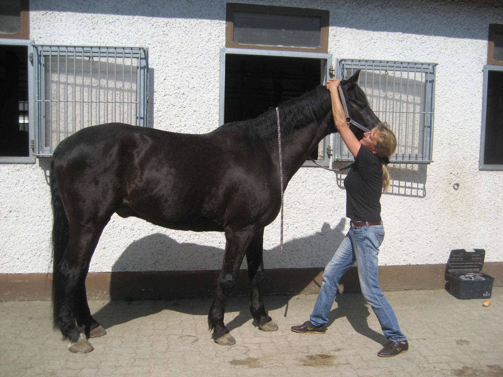 Ansicht 1 von Sylke Barra Tierärztin und Chiropraxis