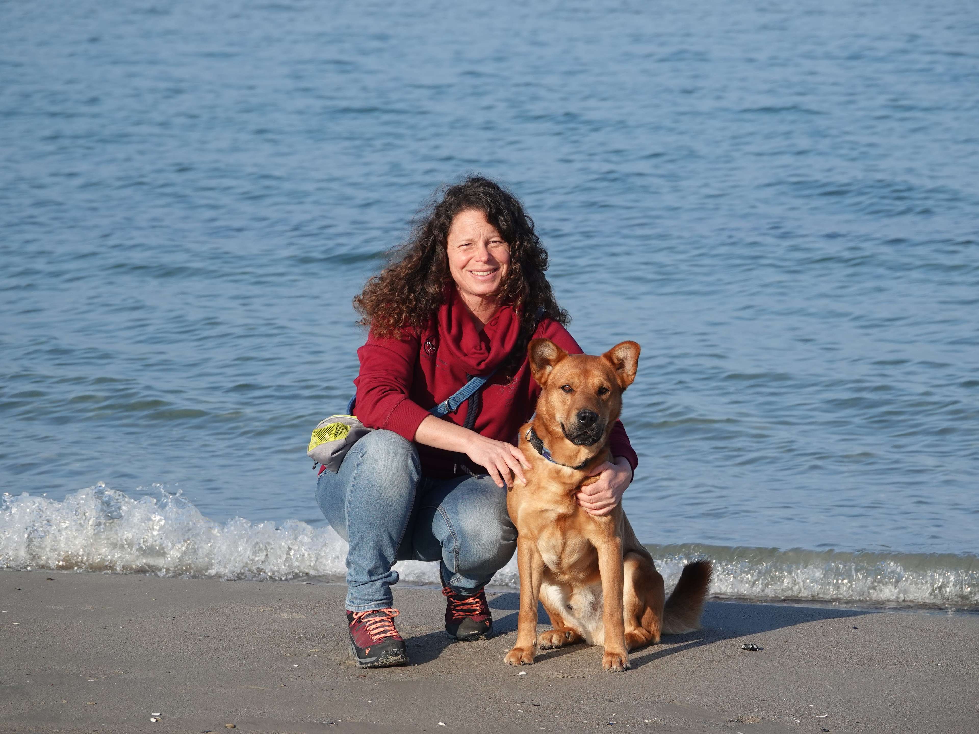 Ansicht 1 von Dr. med. vet. Ina Rheker Tierarztpraxis & Hundeschule Schmerzambulanz Sprechzeiten und Notdienst unter www.dr-rheker.de