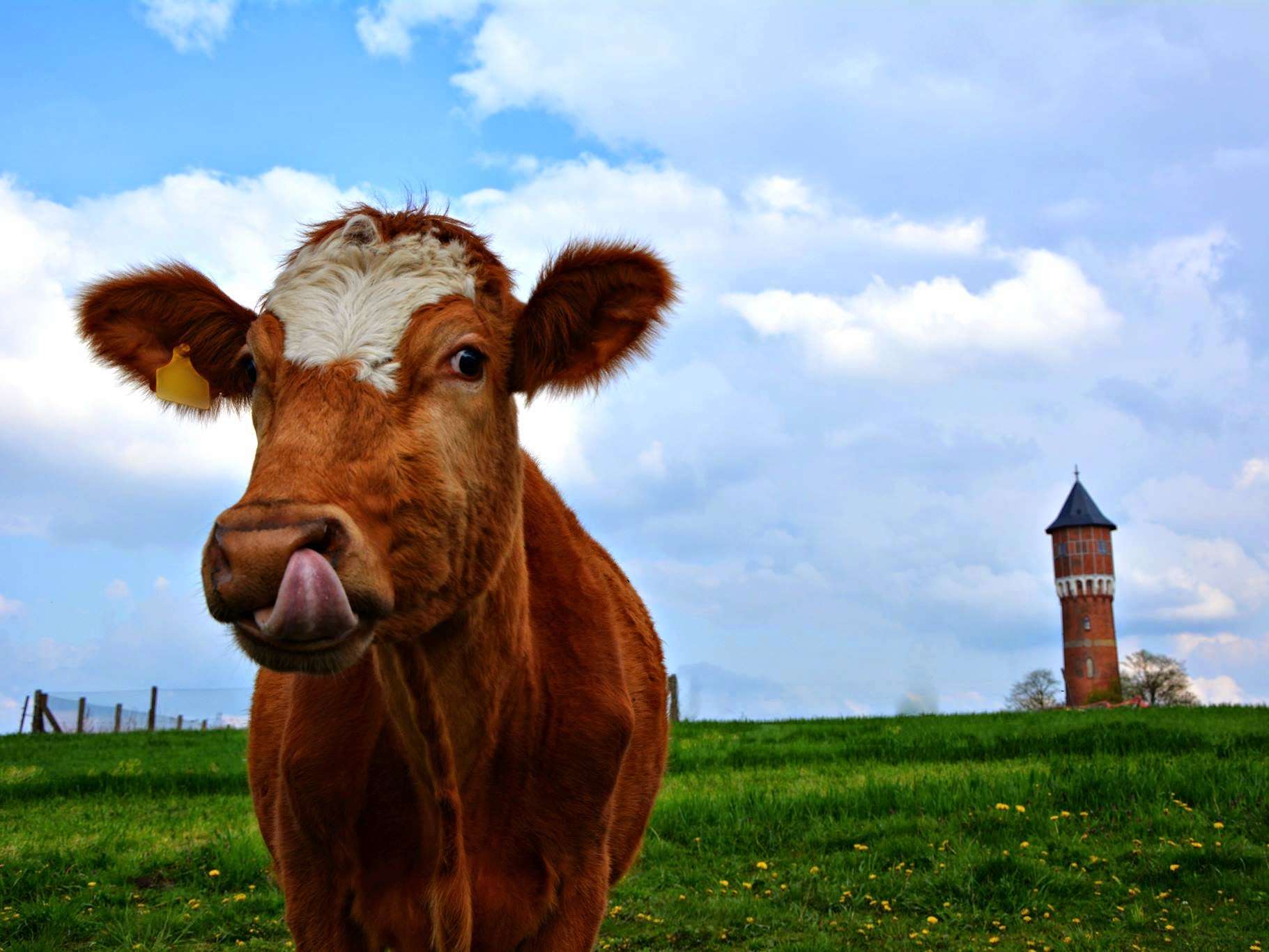 Ansicht 1 von Tierarztpraxis Annekatrin Müller