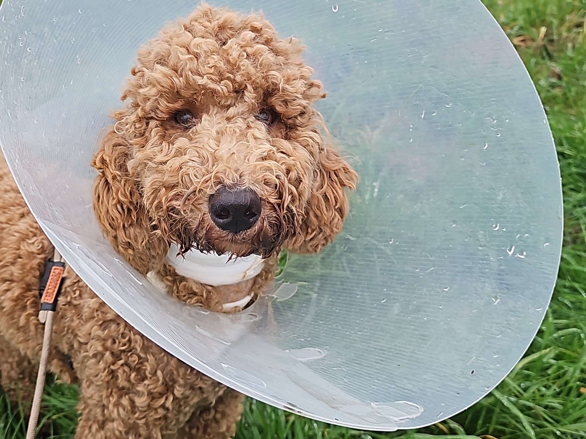 Ansicht 2 von Uta Schmitt Tierärztin