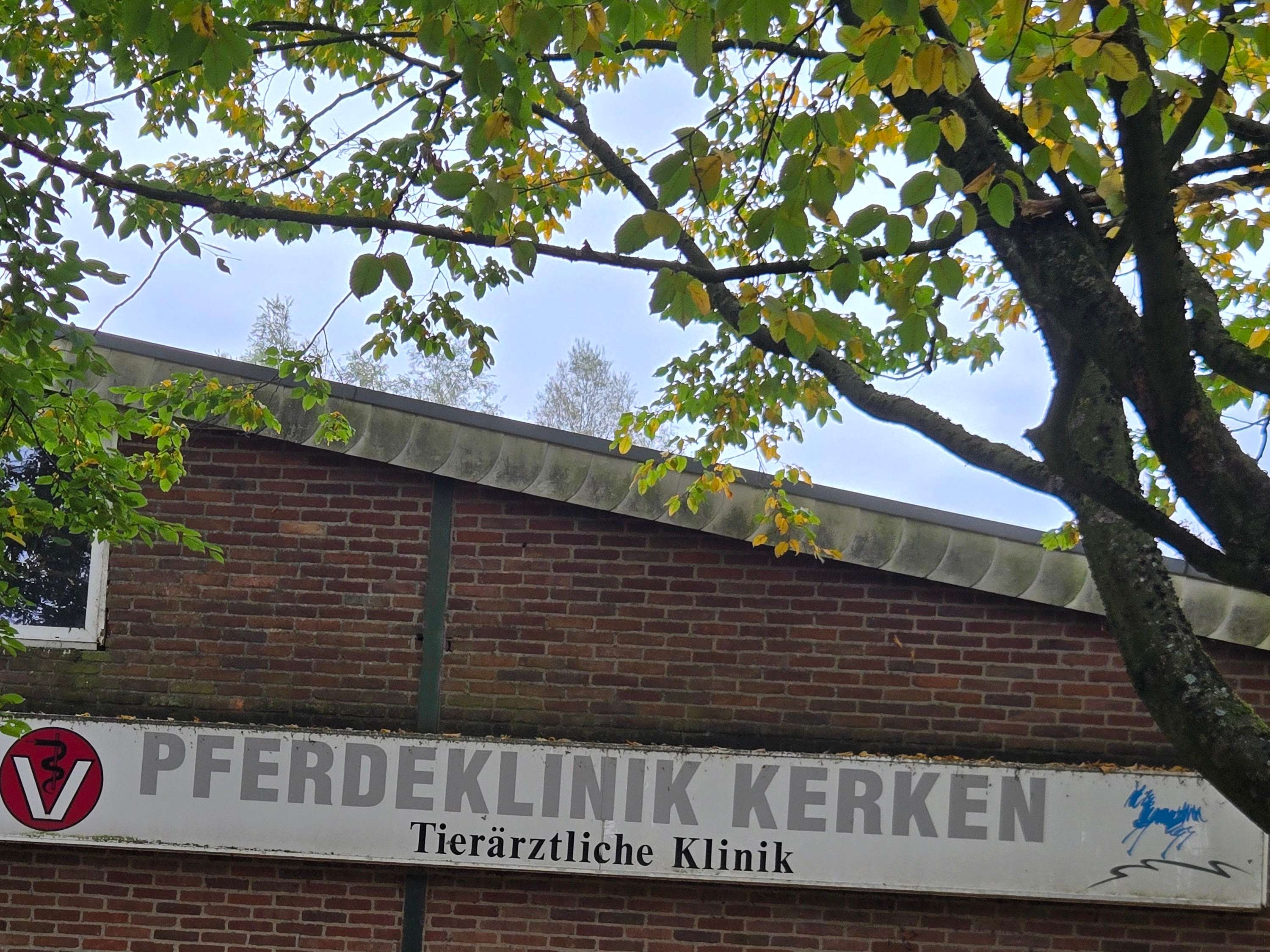 View 3 of Pferdeklinik Kerken