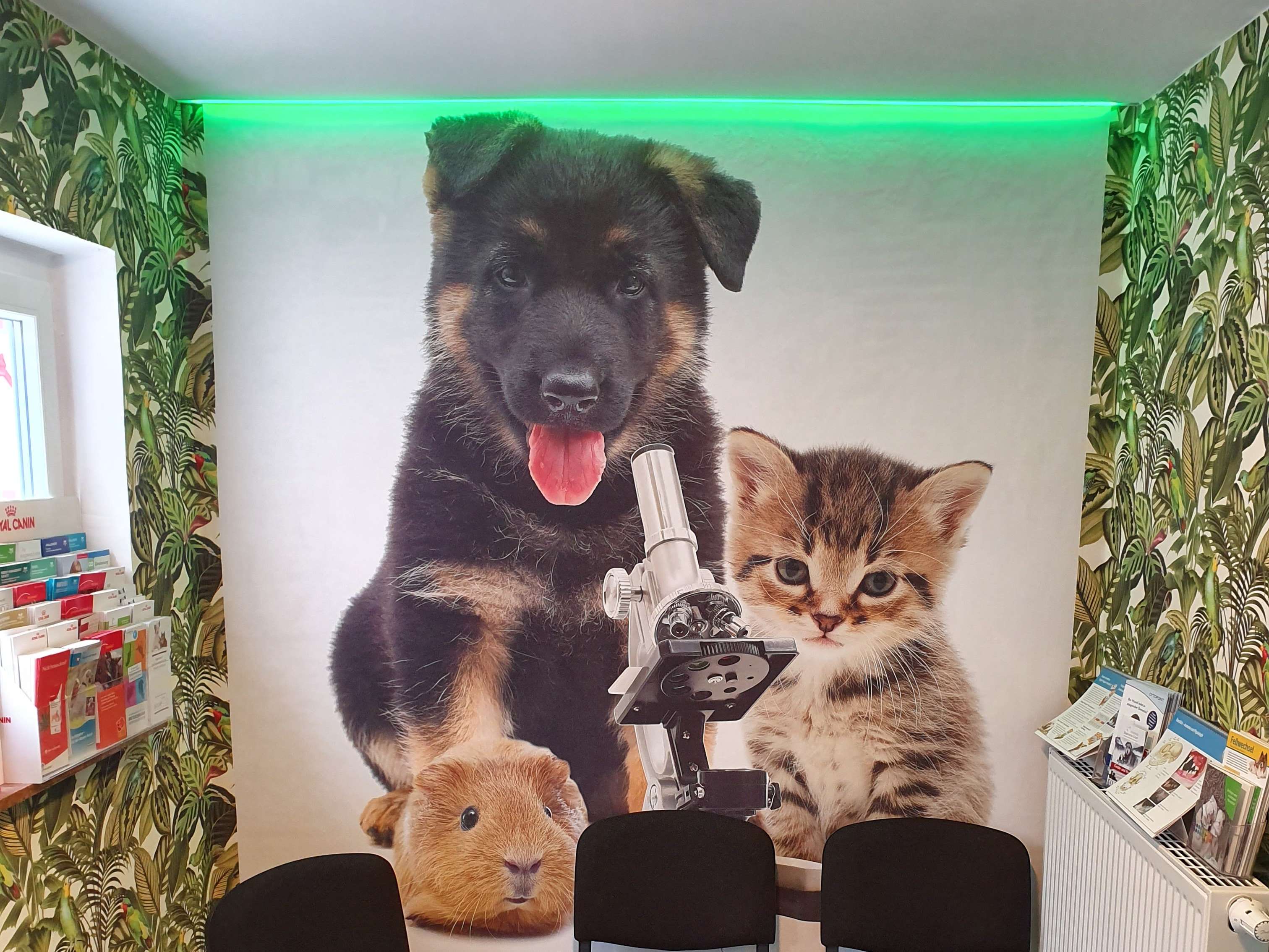 Ansicht 2 von Tierarztpraxis Ullmann