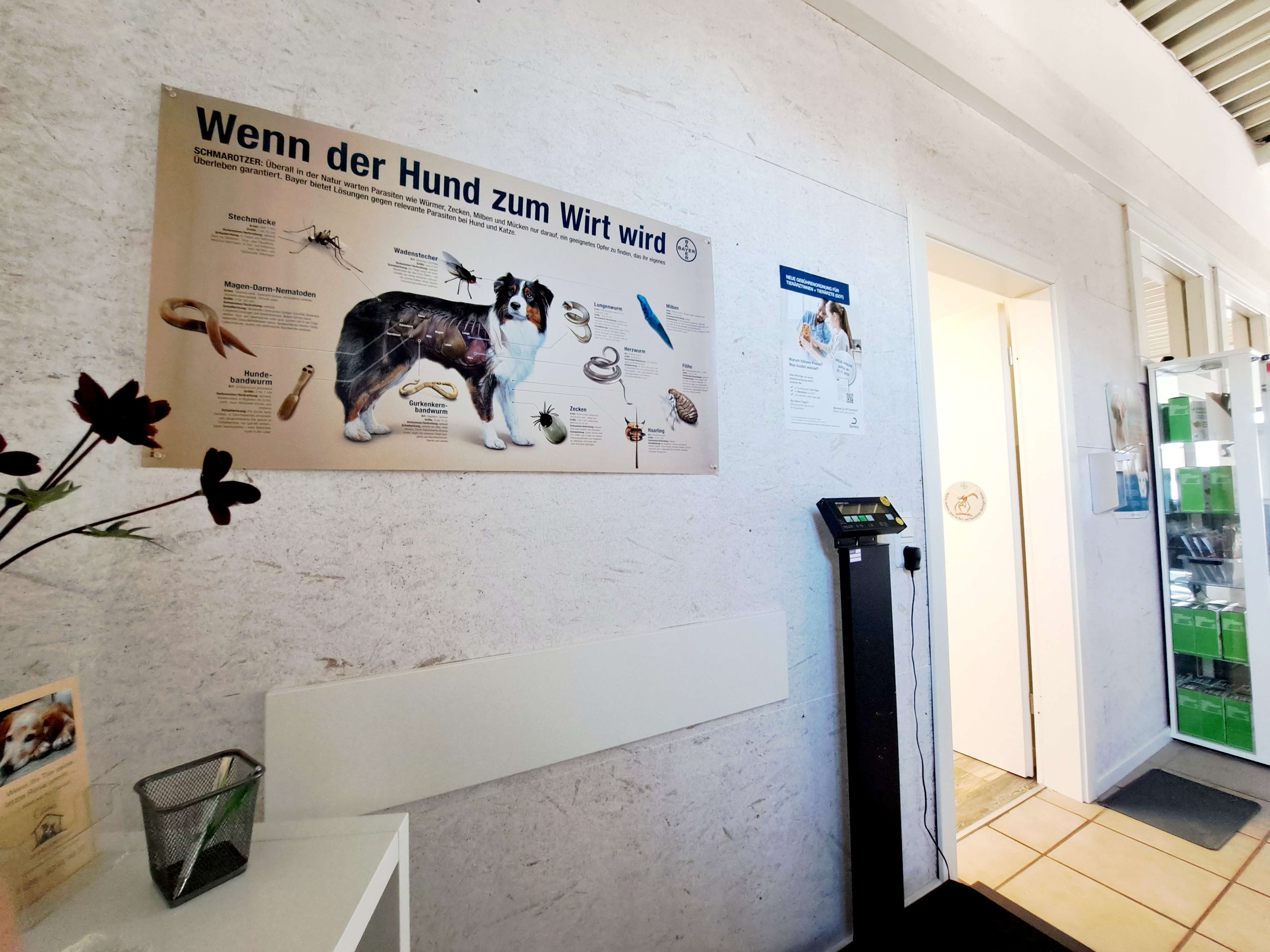 Ansicht 3 von RUMI-Vet, Tierärztliche Praxis, Dr. M. Thumes, Dr. G. Gau, J. Thumes