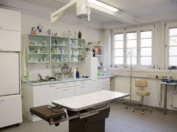 Ansicht 1 von Tierarzt Dr. F. Edlinger