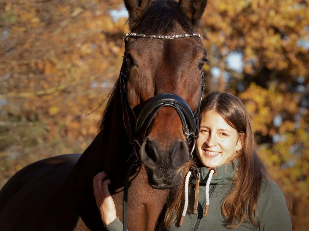 Ansicht 3 von Pferdepraxis Ann-Kathrin Ansel | Pferdetierärztin in Kärnten