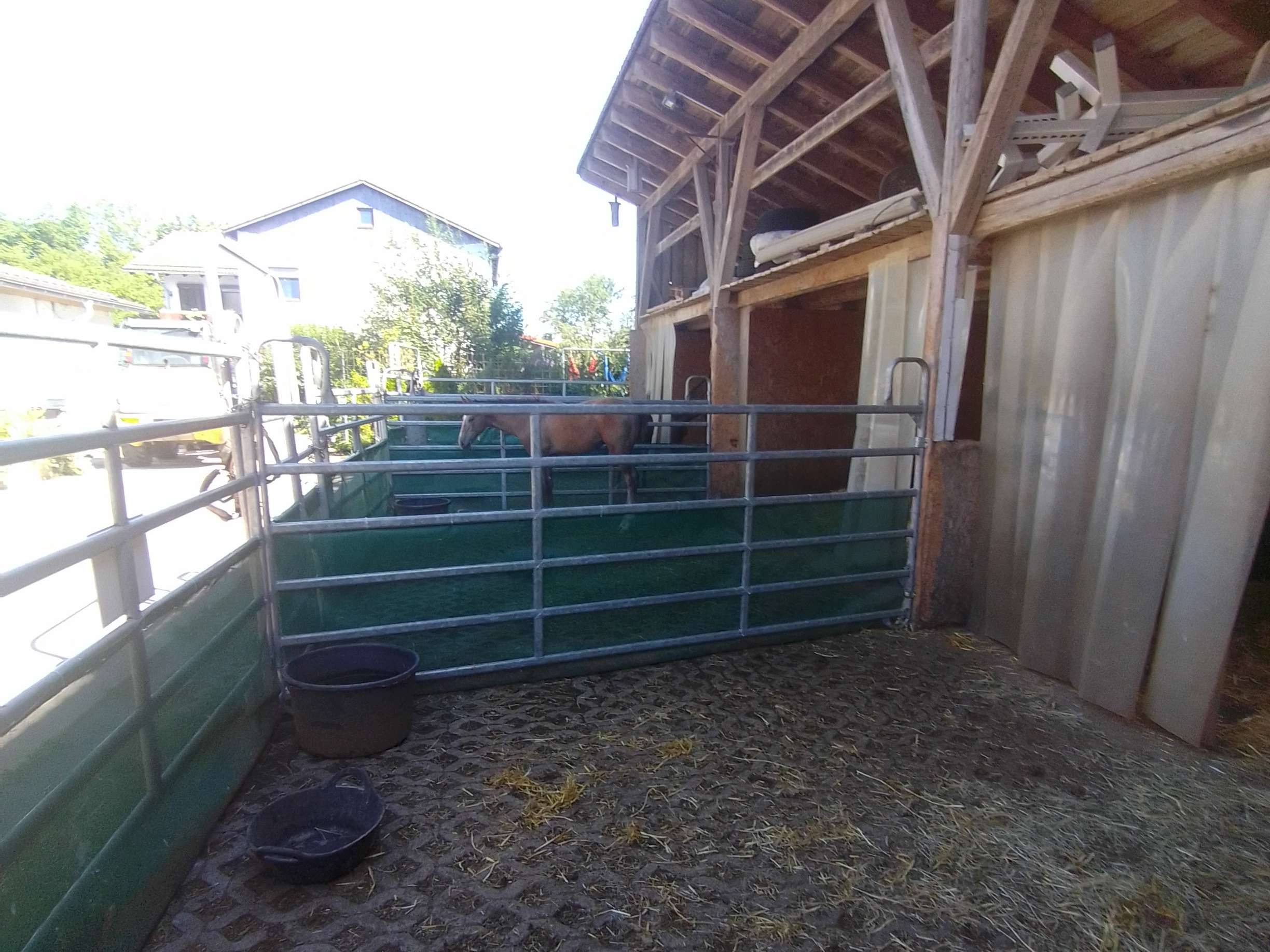 Ansicht 3 von Tierärztliche Ambulanz Rattenhuber