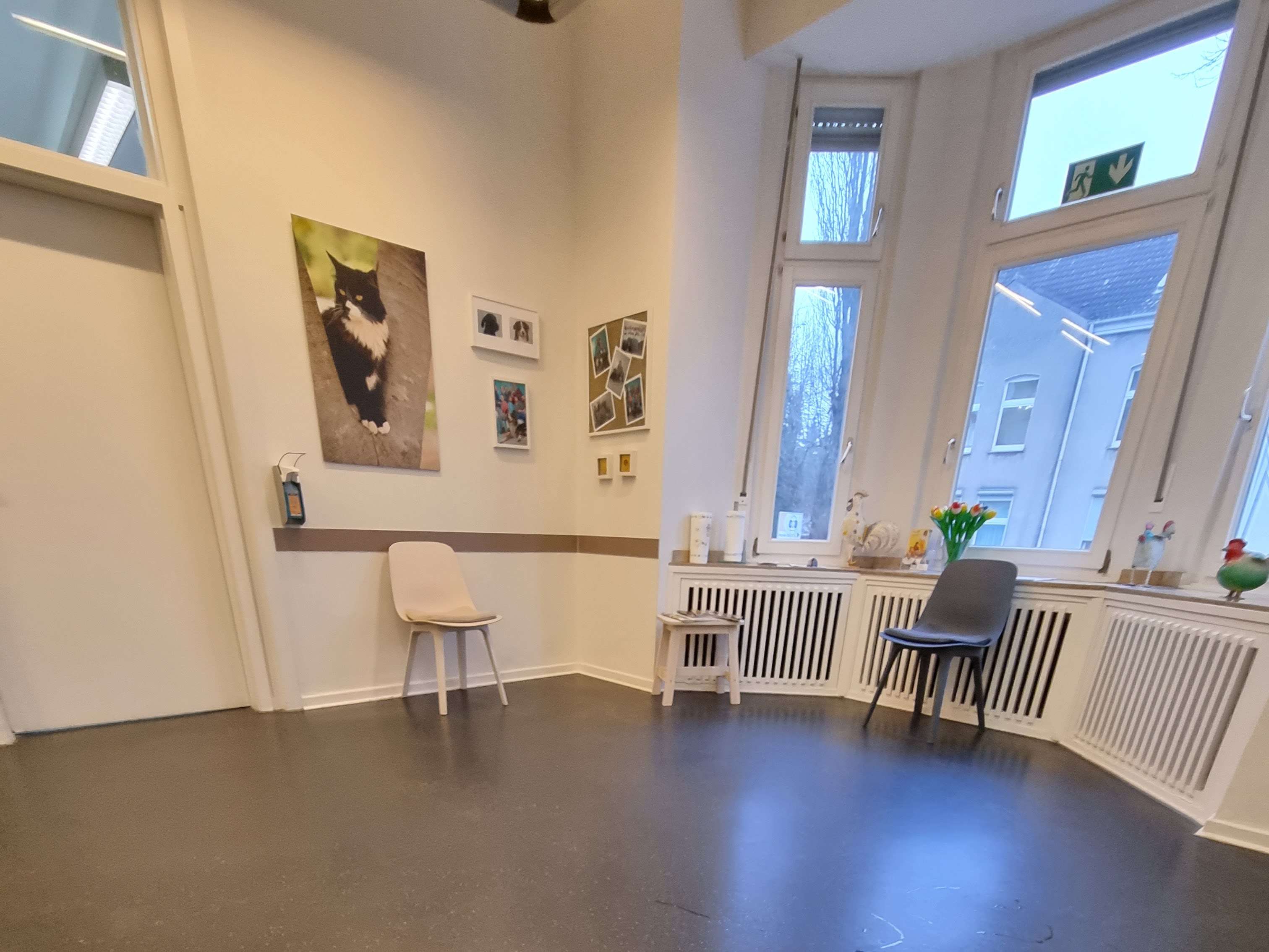 Ansicht 3 von Tierärztin Christine Cilurzo