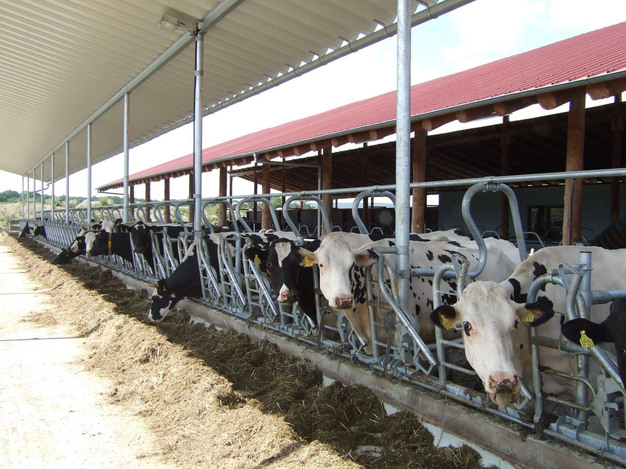 Ansicht 1 von Tierärztin Dr.med.vet. Christine Nowotzin