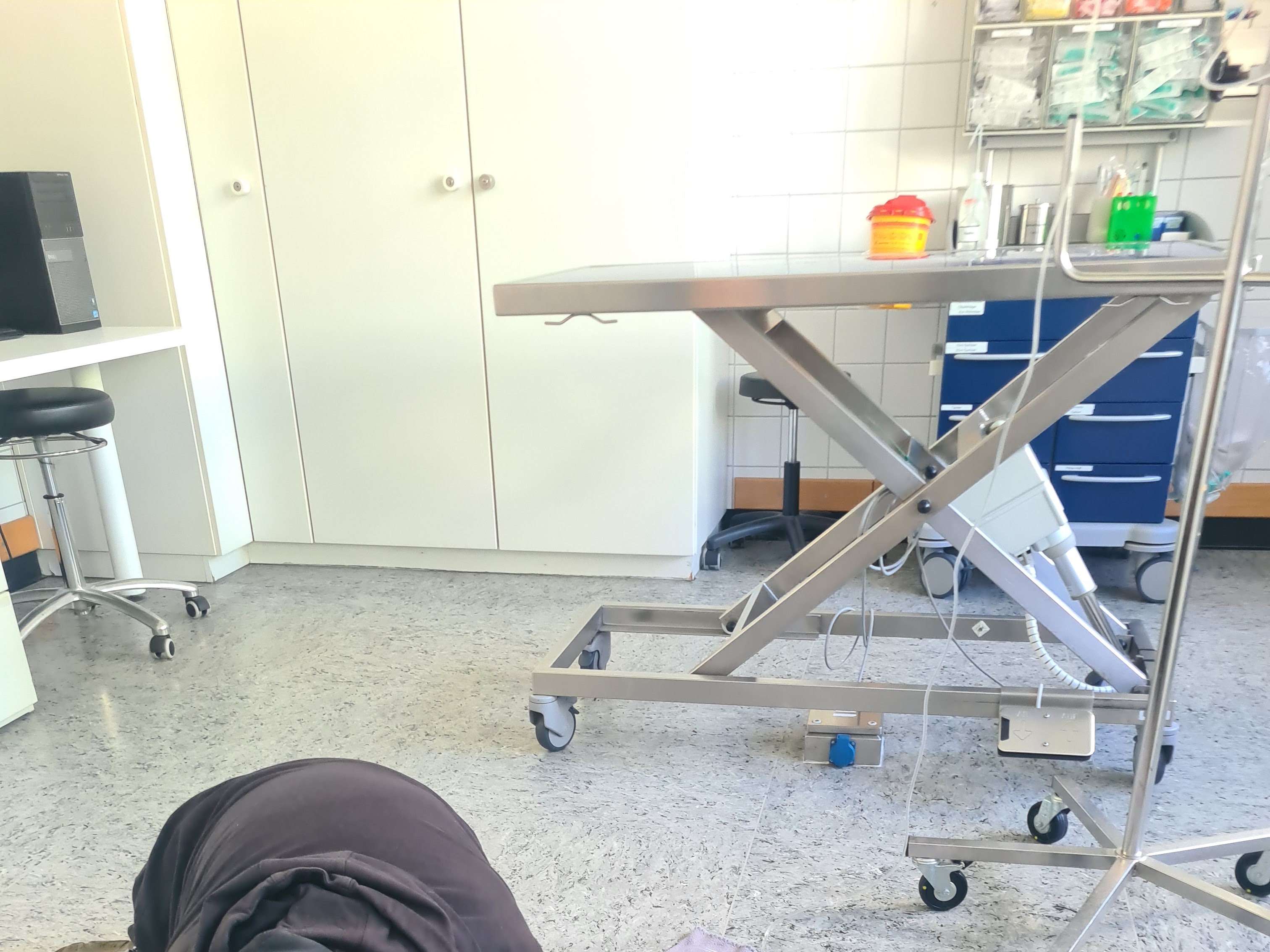 Ansicht 3 von Klein- und Heimtierklinik der FU Berlin